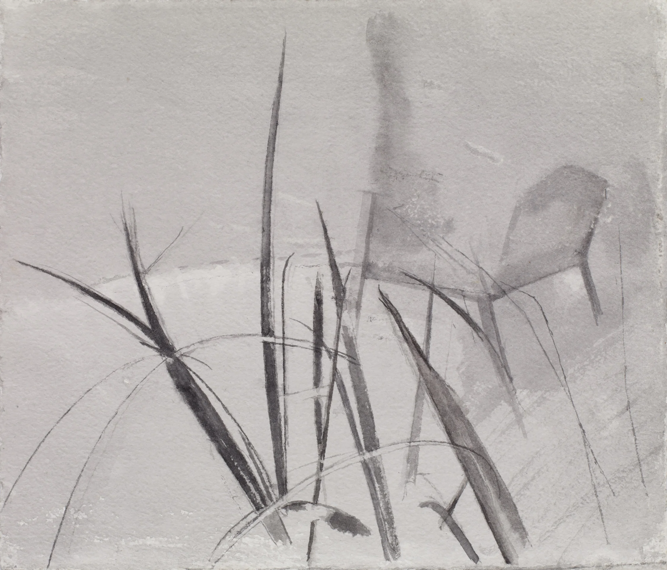 </strong><em>Irises and Bench</em> <br/> 2017 <br/> watercolour<br/>22 x 26cm <strong>