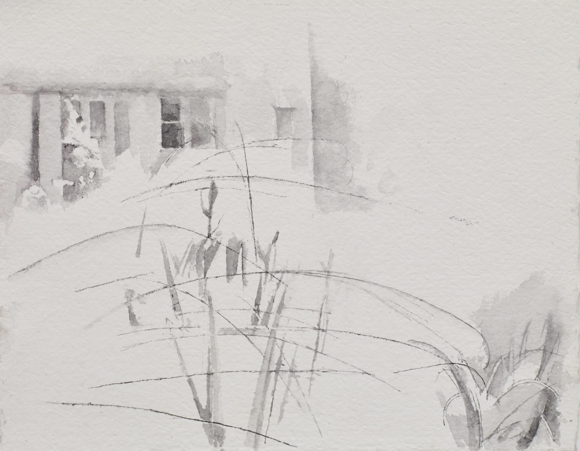 Windows, Irises, Grasses 2017 (close crop).jpg