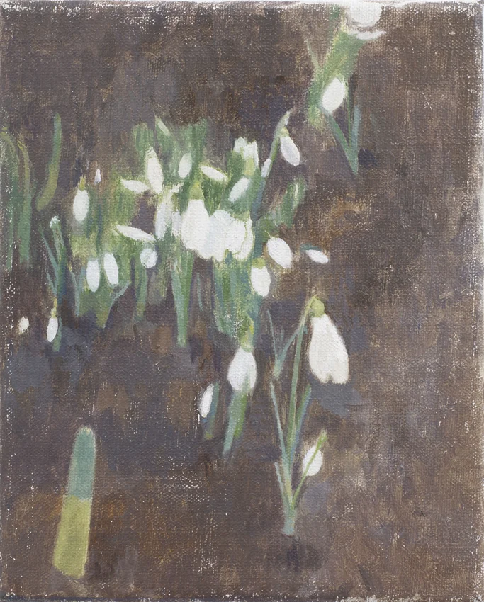 Emerging Snowdrops 2010 25 x 20 cm.jpg
