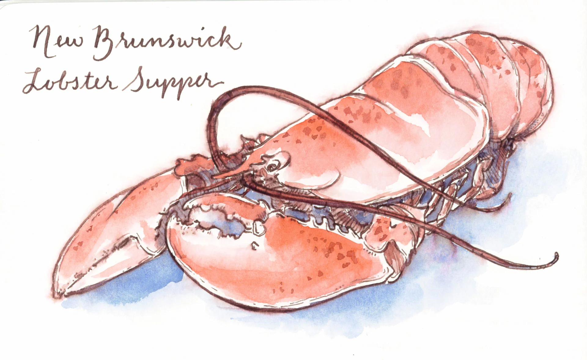 NS-Lobsteri.jpg