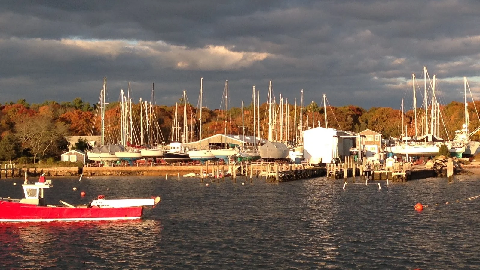 MBY yard at sunset - Fall 2014 Christmas Pic.jpg
