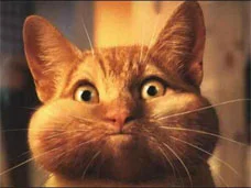 cat_hold_breath2.jpg