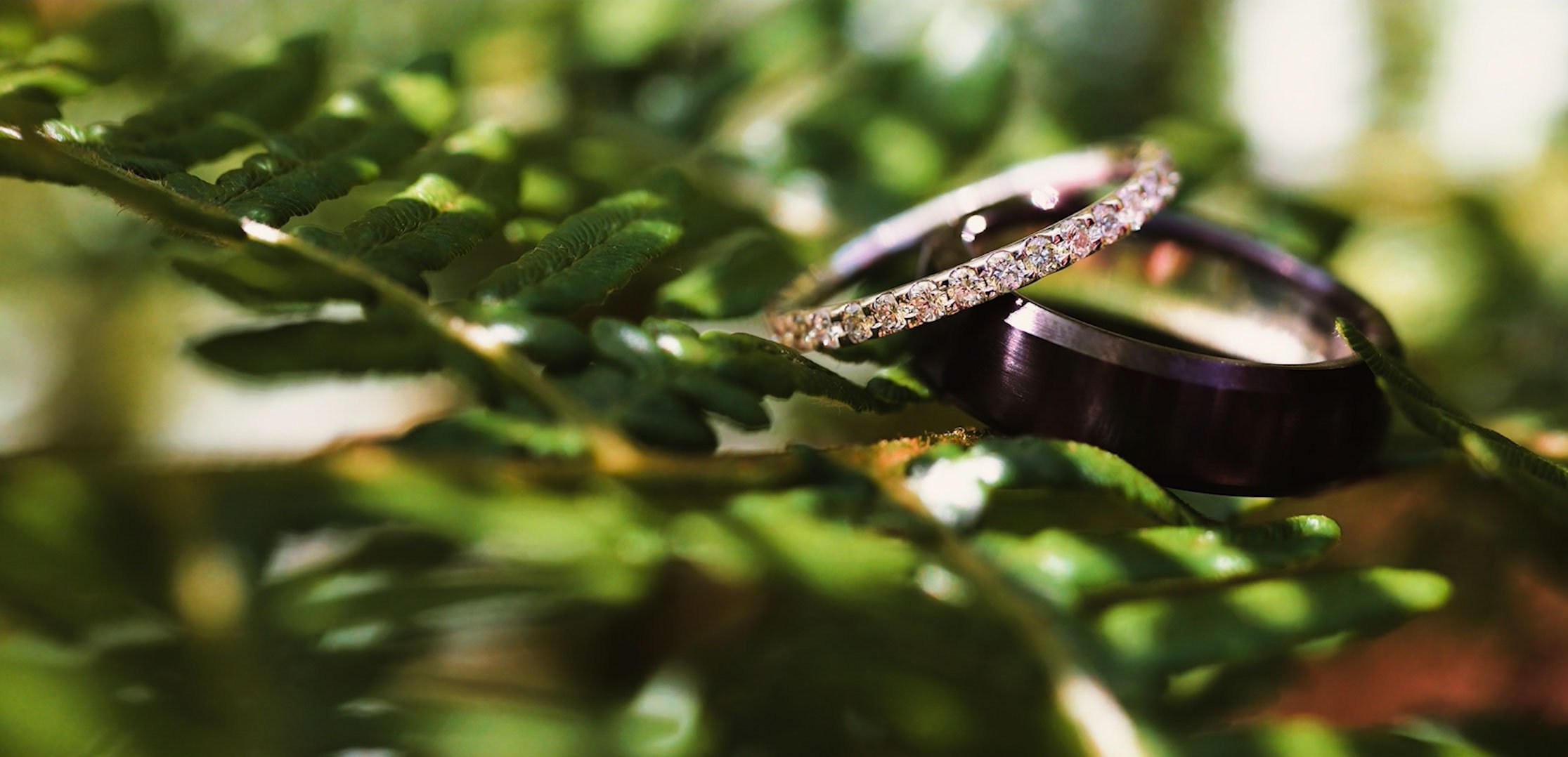 Wantisden Valley Wedding Videographer
