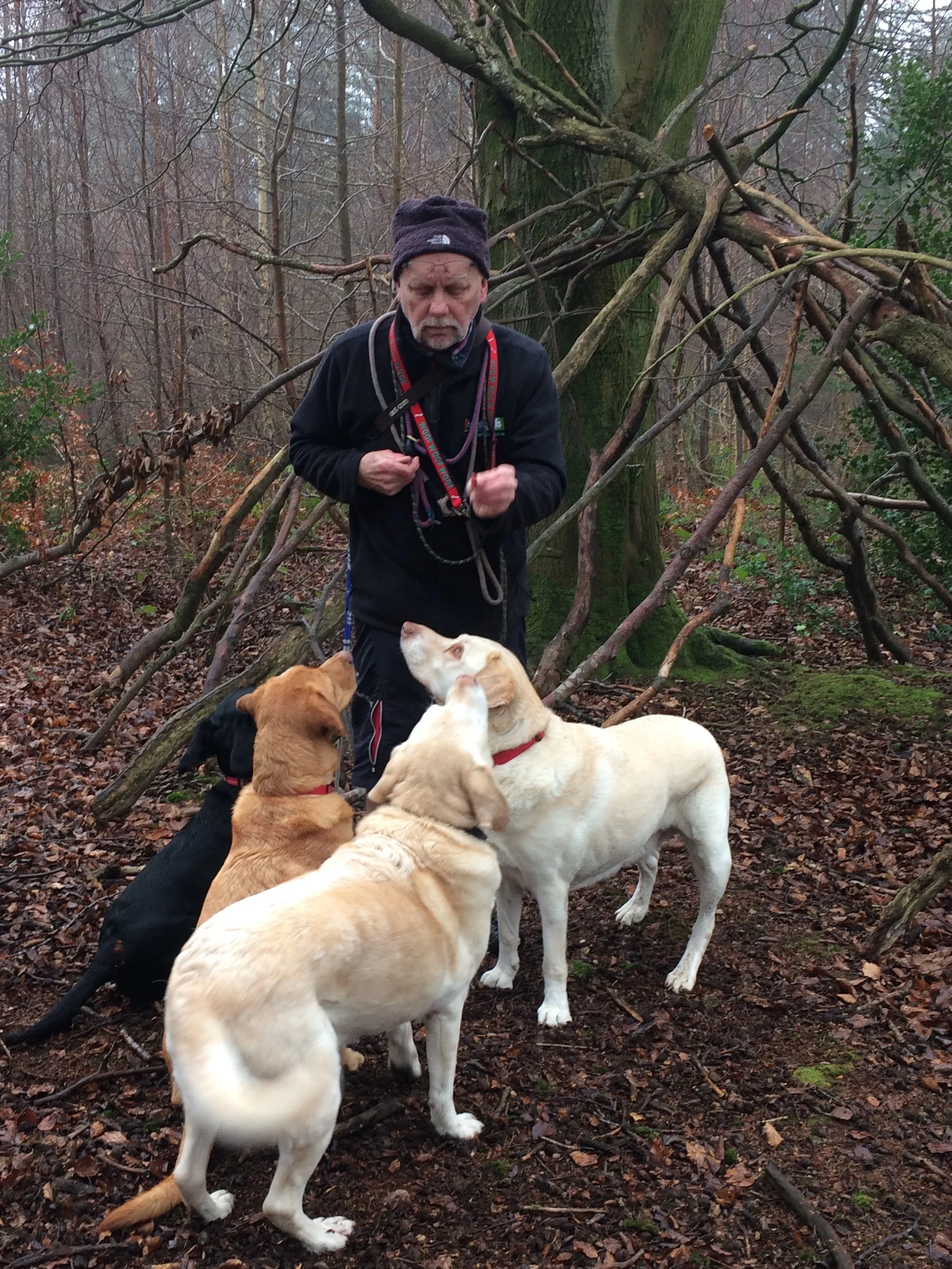 Treats, tails and fun