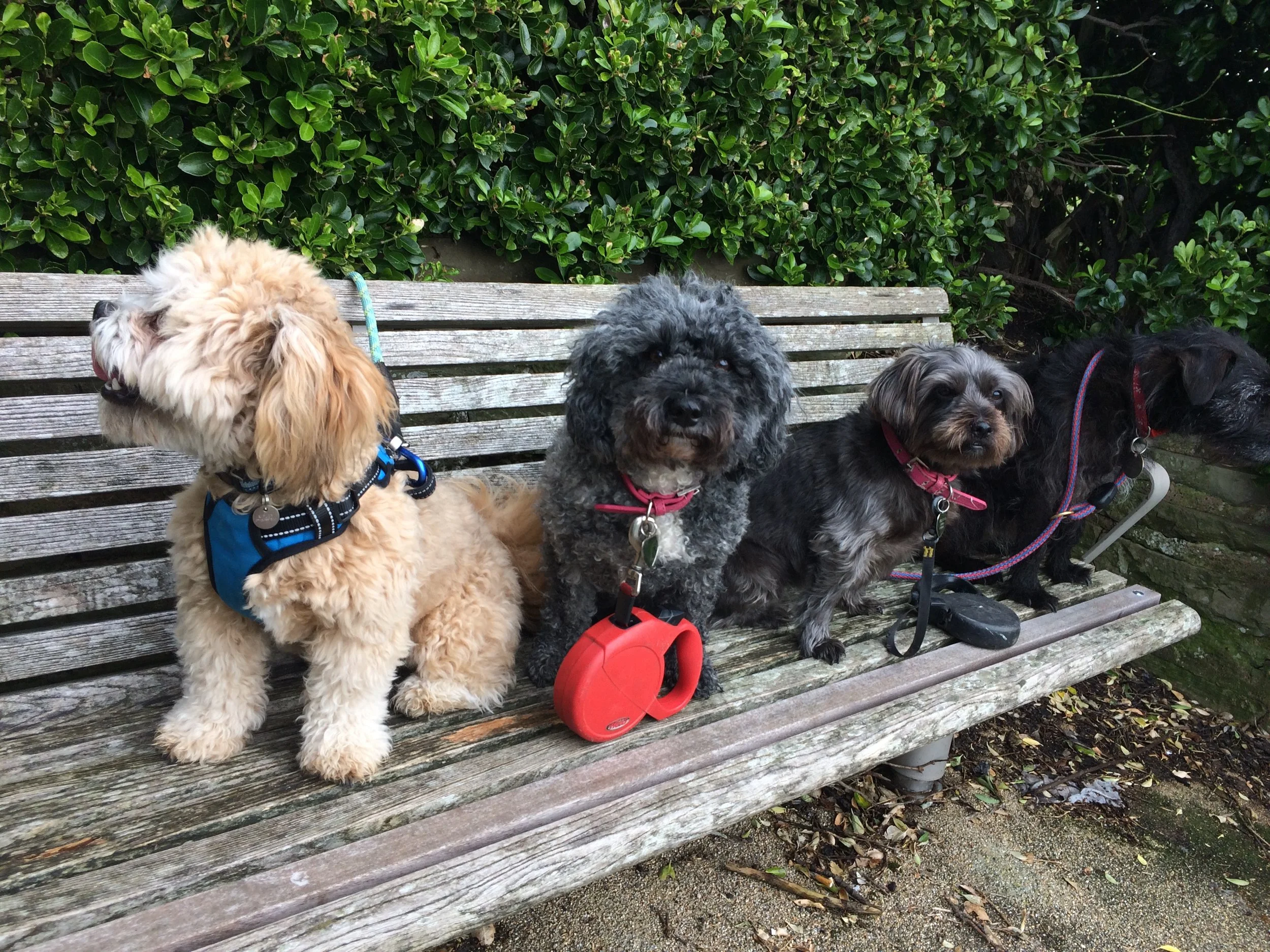 There were four on the bench....