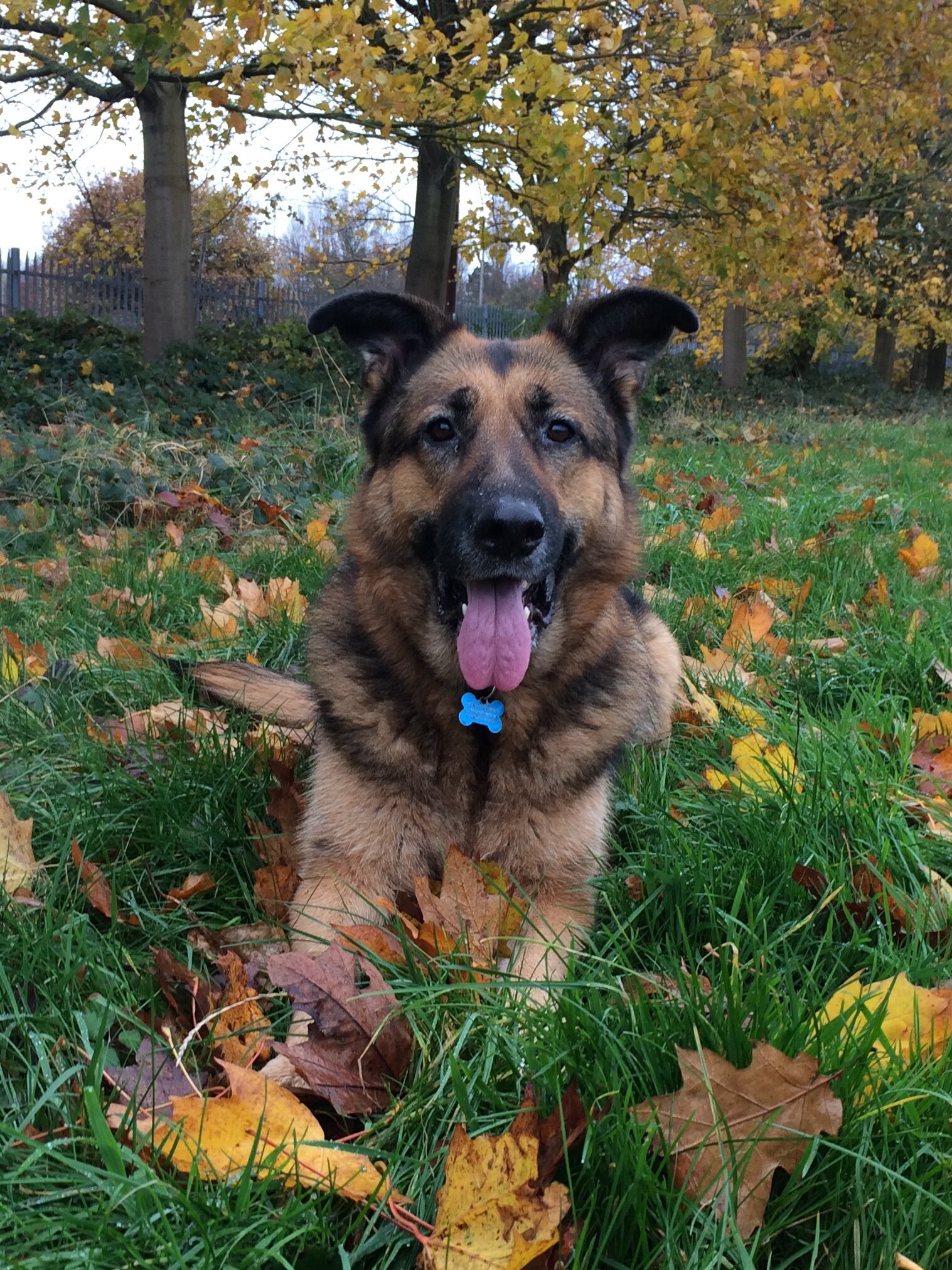 Patiently waiting...