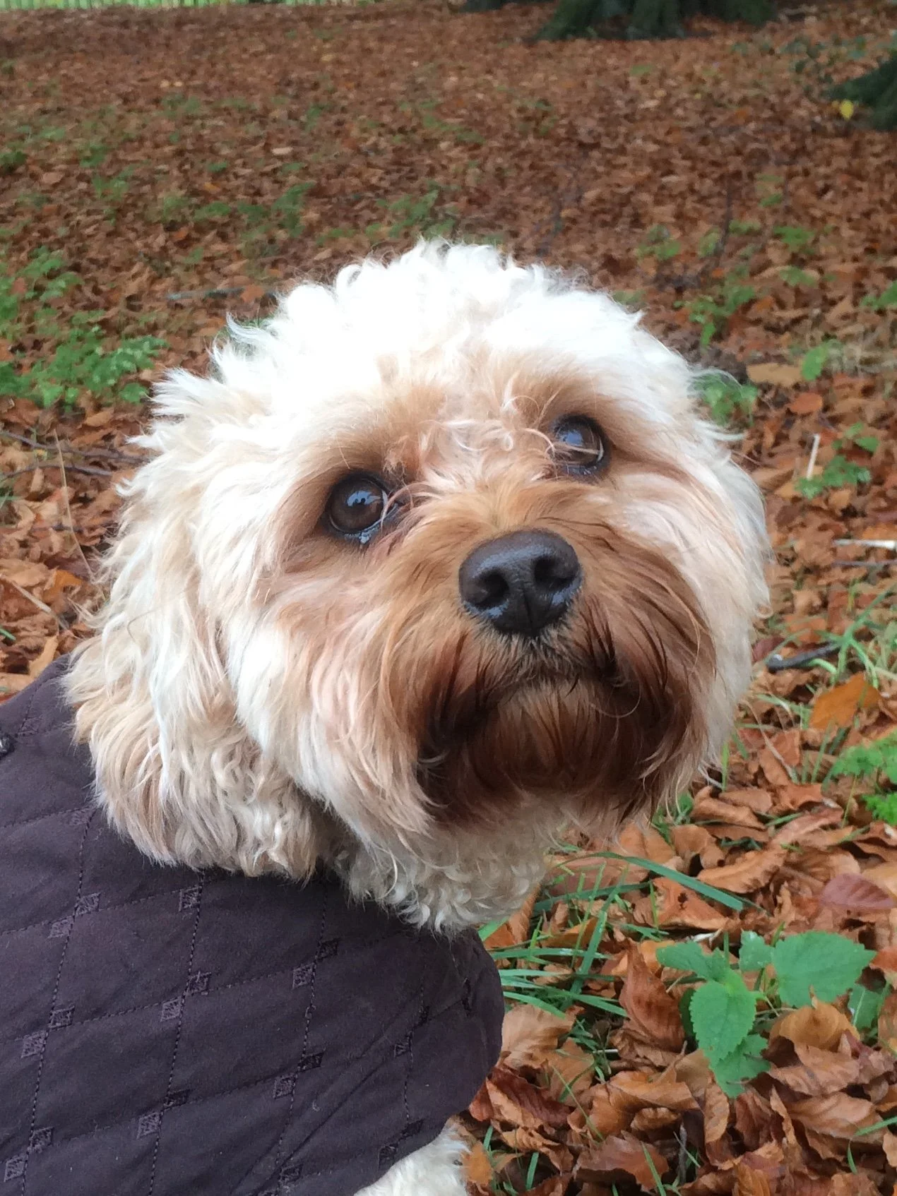 I spy with my little eye