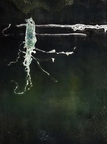Squid.