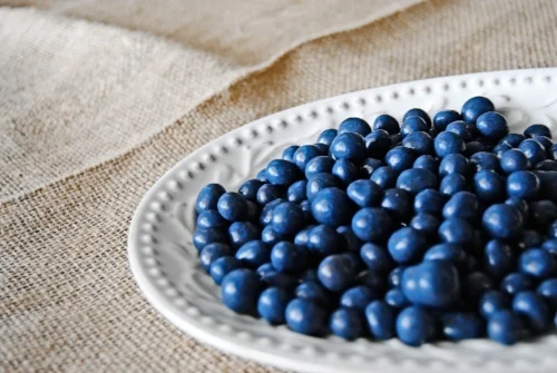 MC_Bluberries_1.jpg