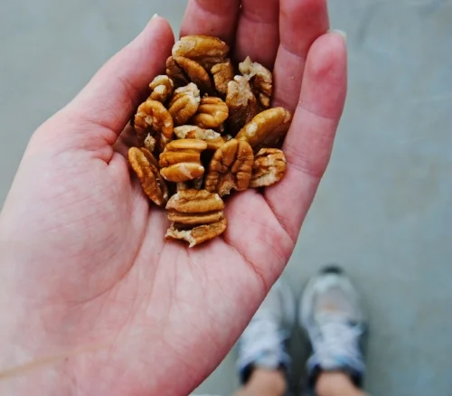Miller Pecan Co Farm Fresh Wholesale And Retail Shelled Oklahoma Pecans What About The Nutrition Crisis