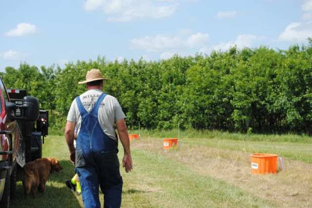 Pecan Tree Management