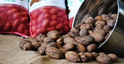 fresh_pecans