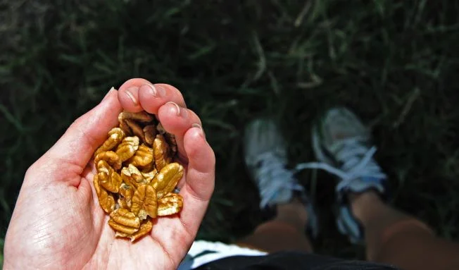 healthy_handful_of_pecans