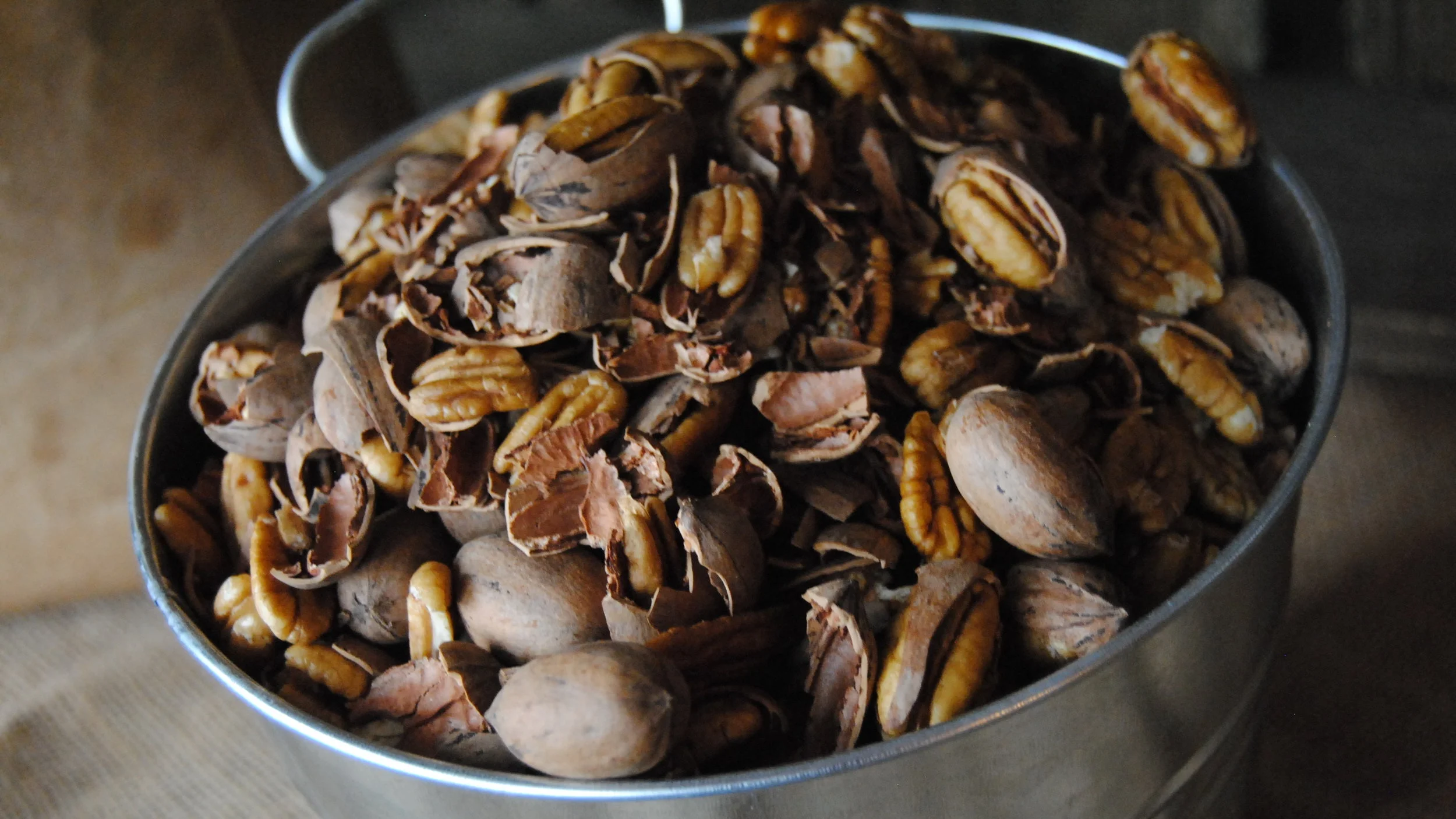 in_shell_pecans_miller_pecans