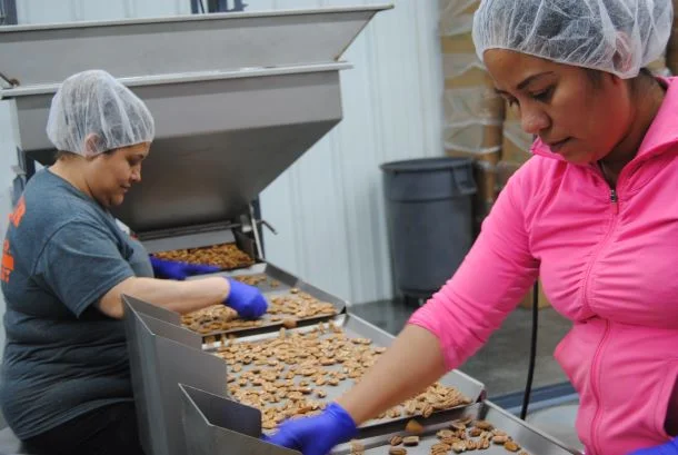 pecan_processing_miller_pecan_company