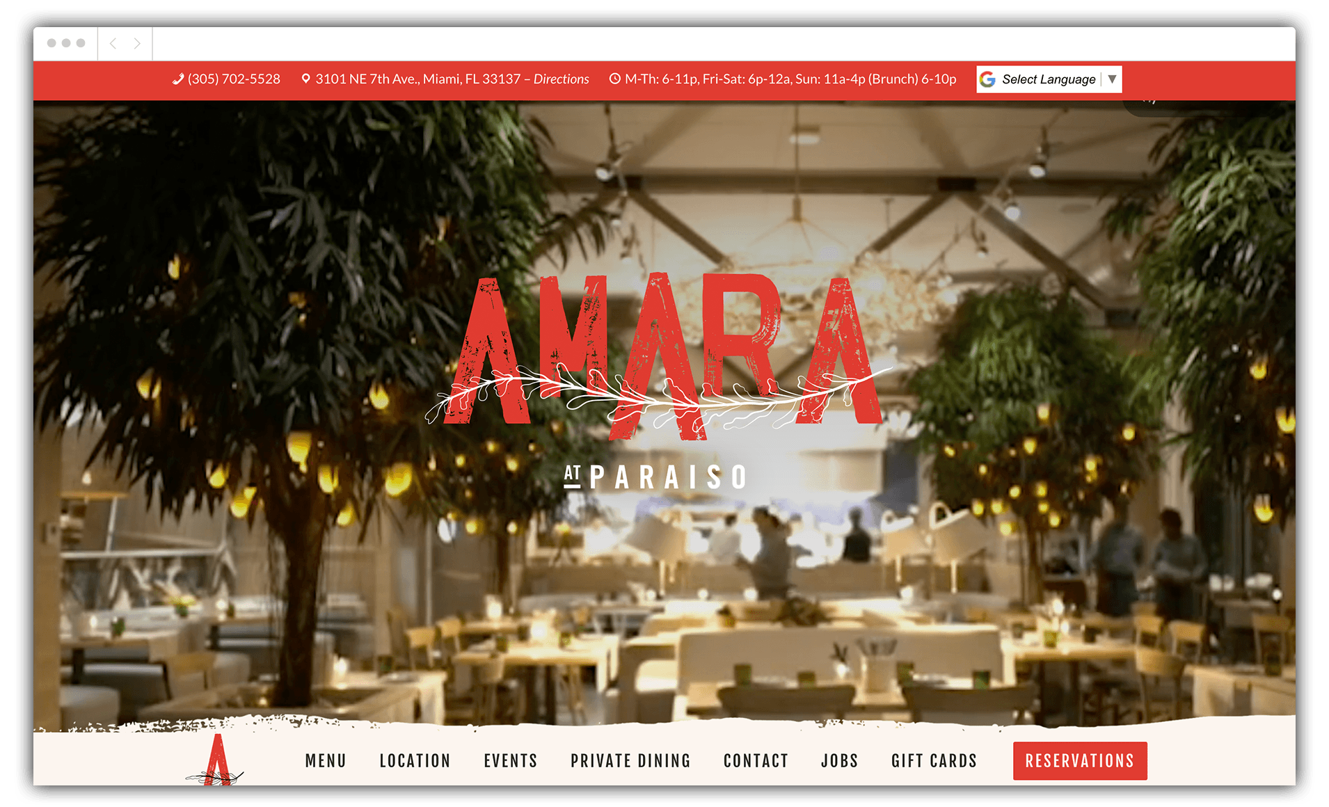 amara-website-intro-compressed.png