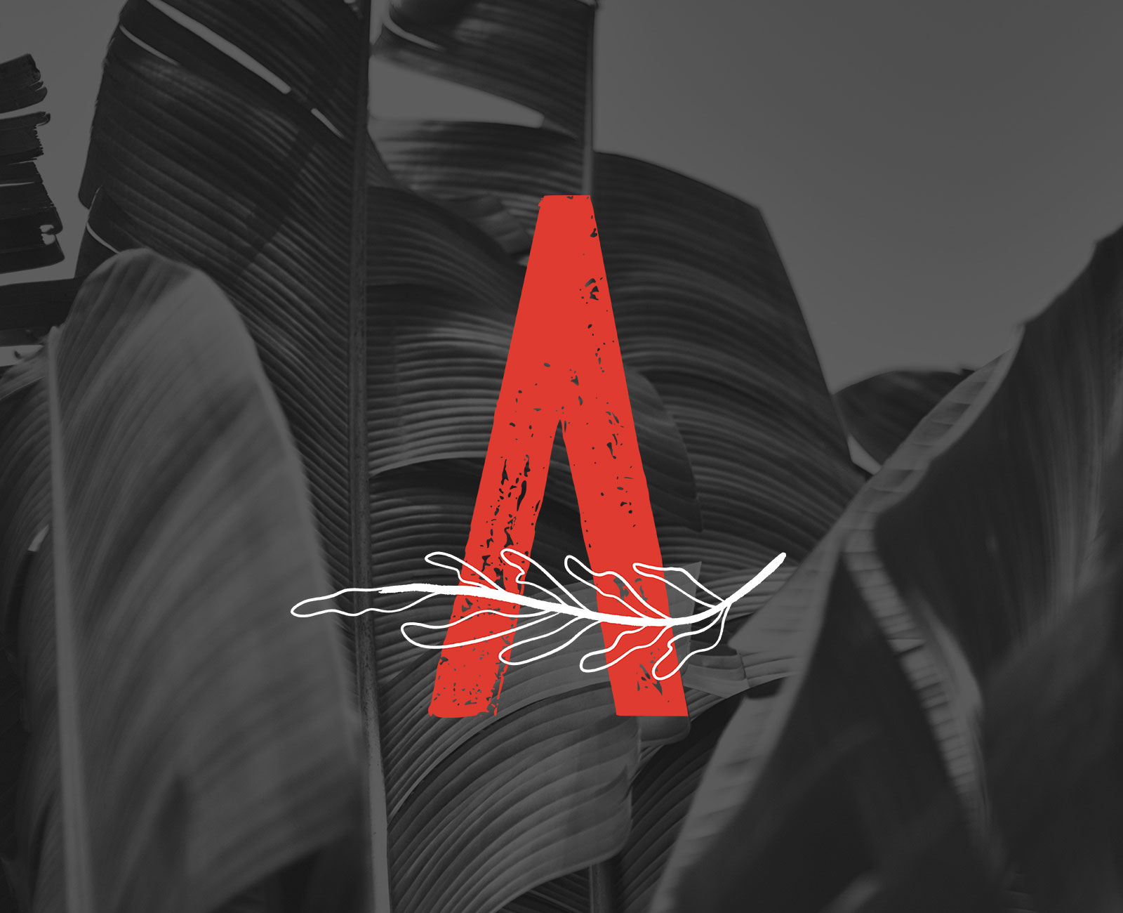 amara-case-studies.jpg