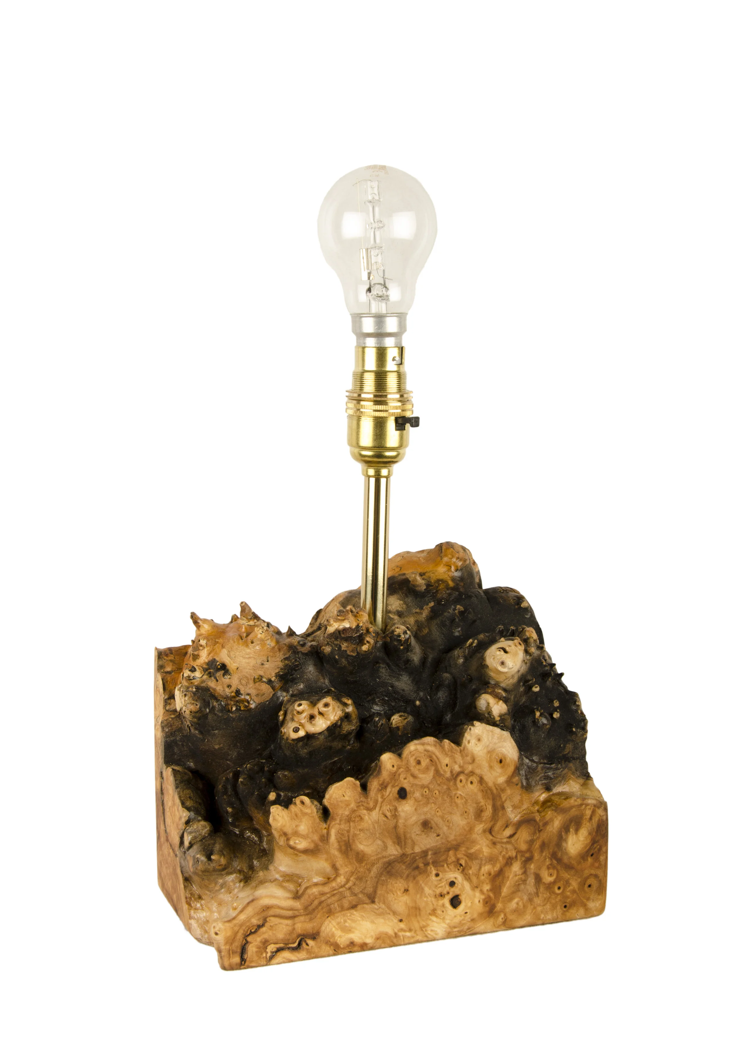 Black Poplar Burr Table Lamp