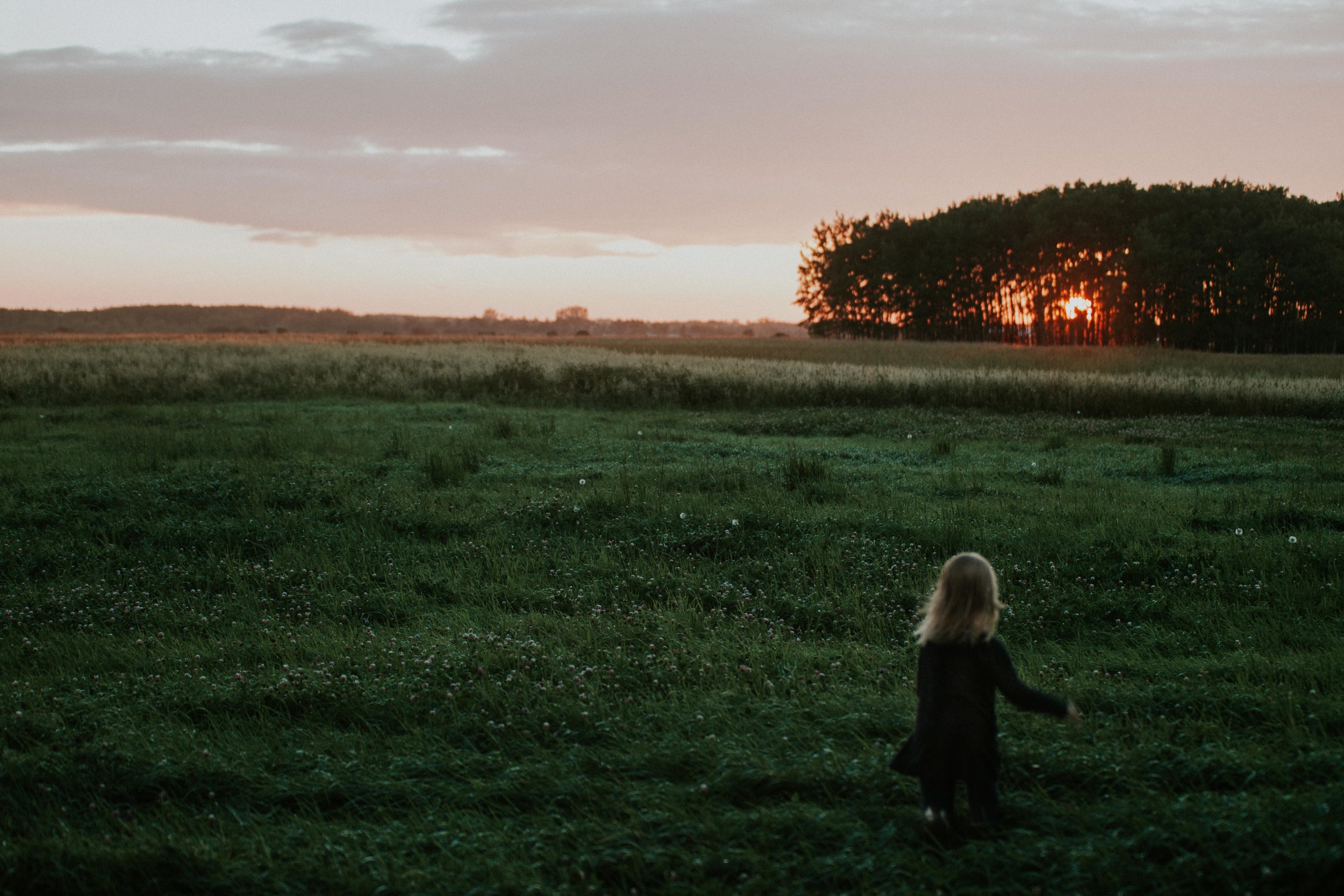 OliSunset072017.jpg