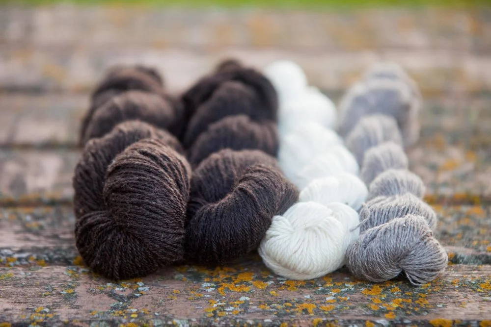 Farm Fresh Yarn!