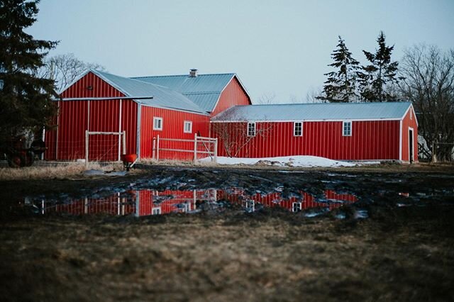 #spring #redbarn #farmingmb #springreflections