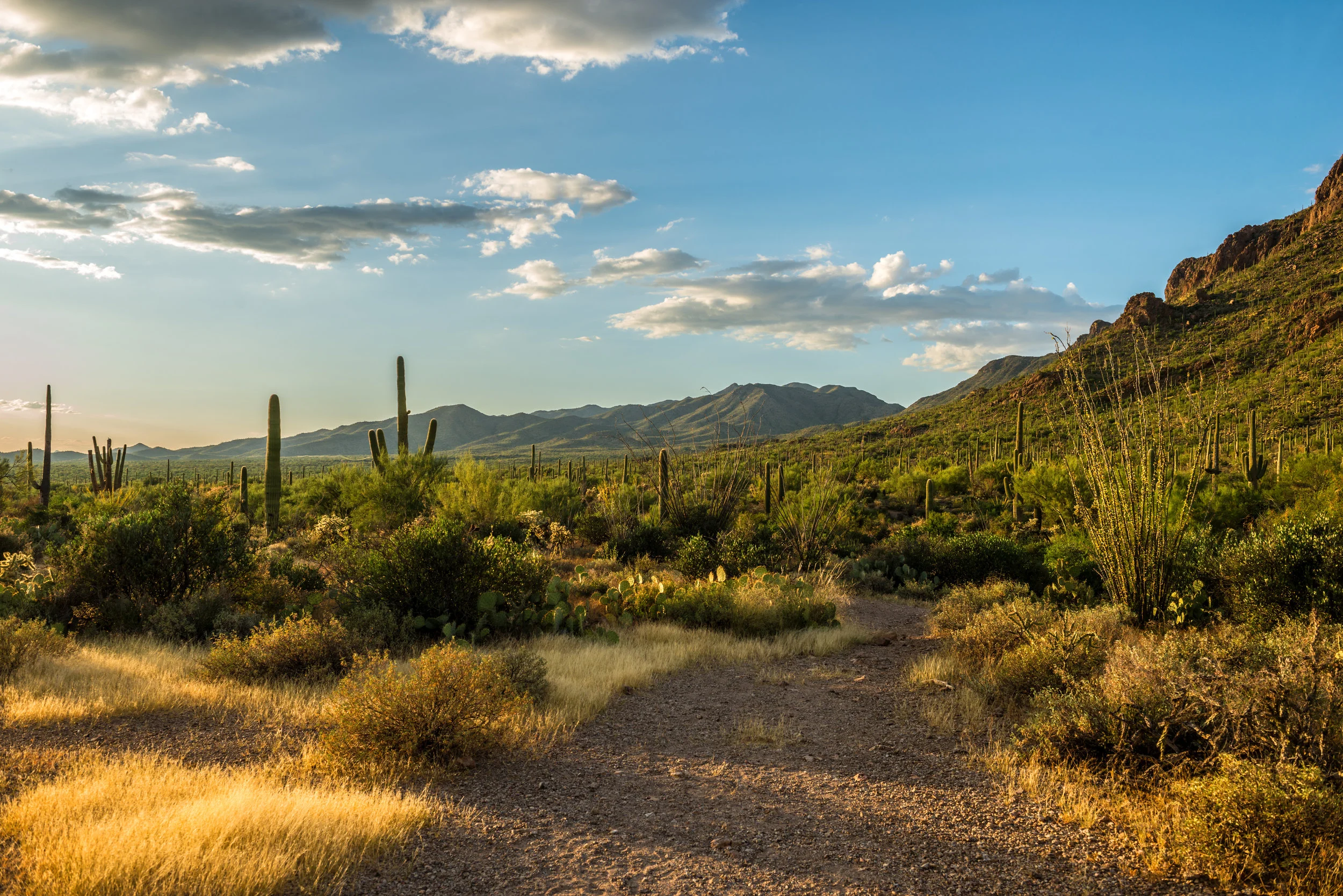 iStock-881939768.jpg