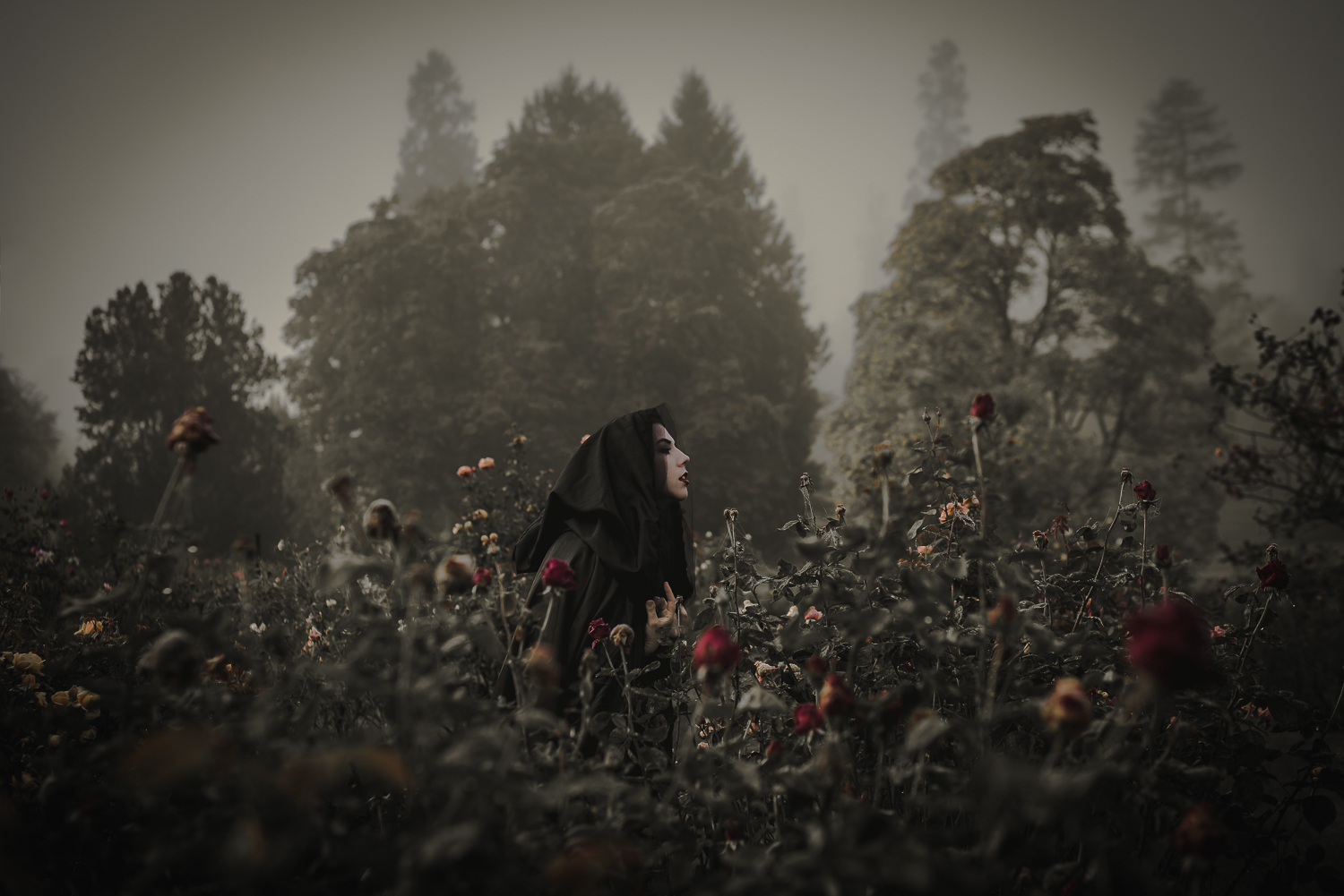 sarahbsmithart-dreams-ghosts--5.jpg