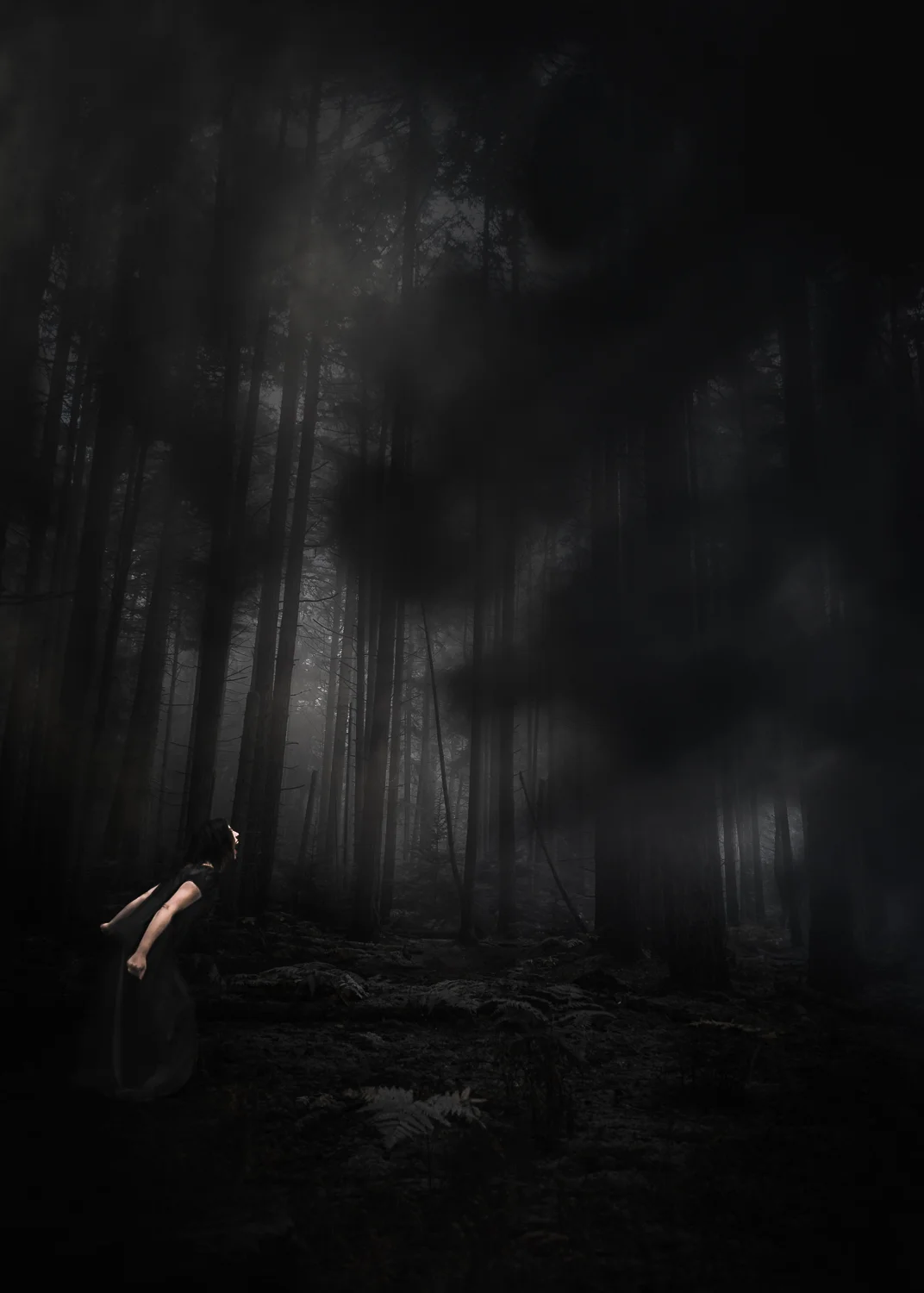 sarahbsmithart-dreams-ghosts--6.jpg