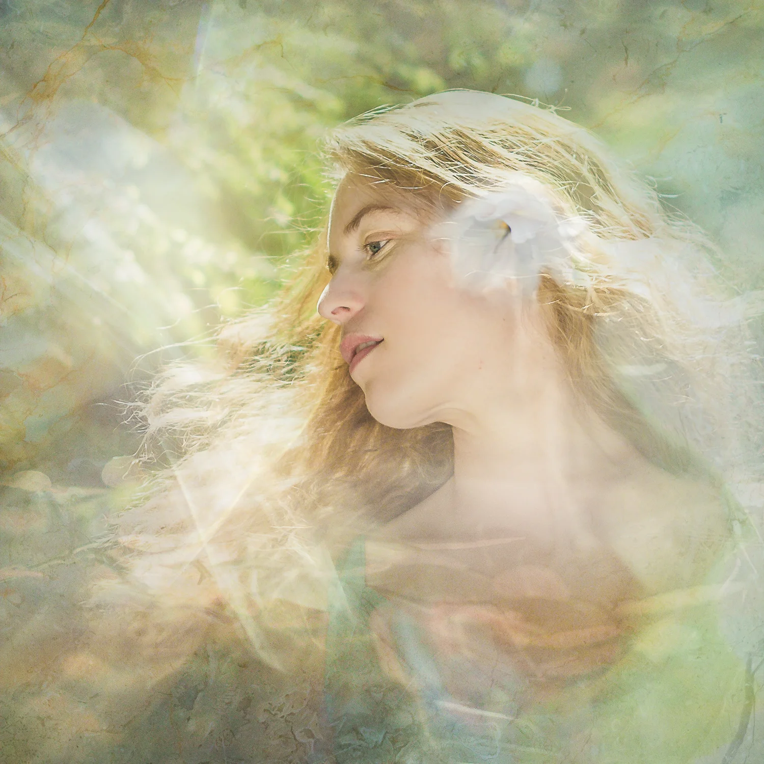 sarahbsmithart-fragments--8.jpg