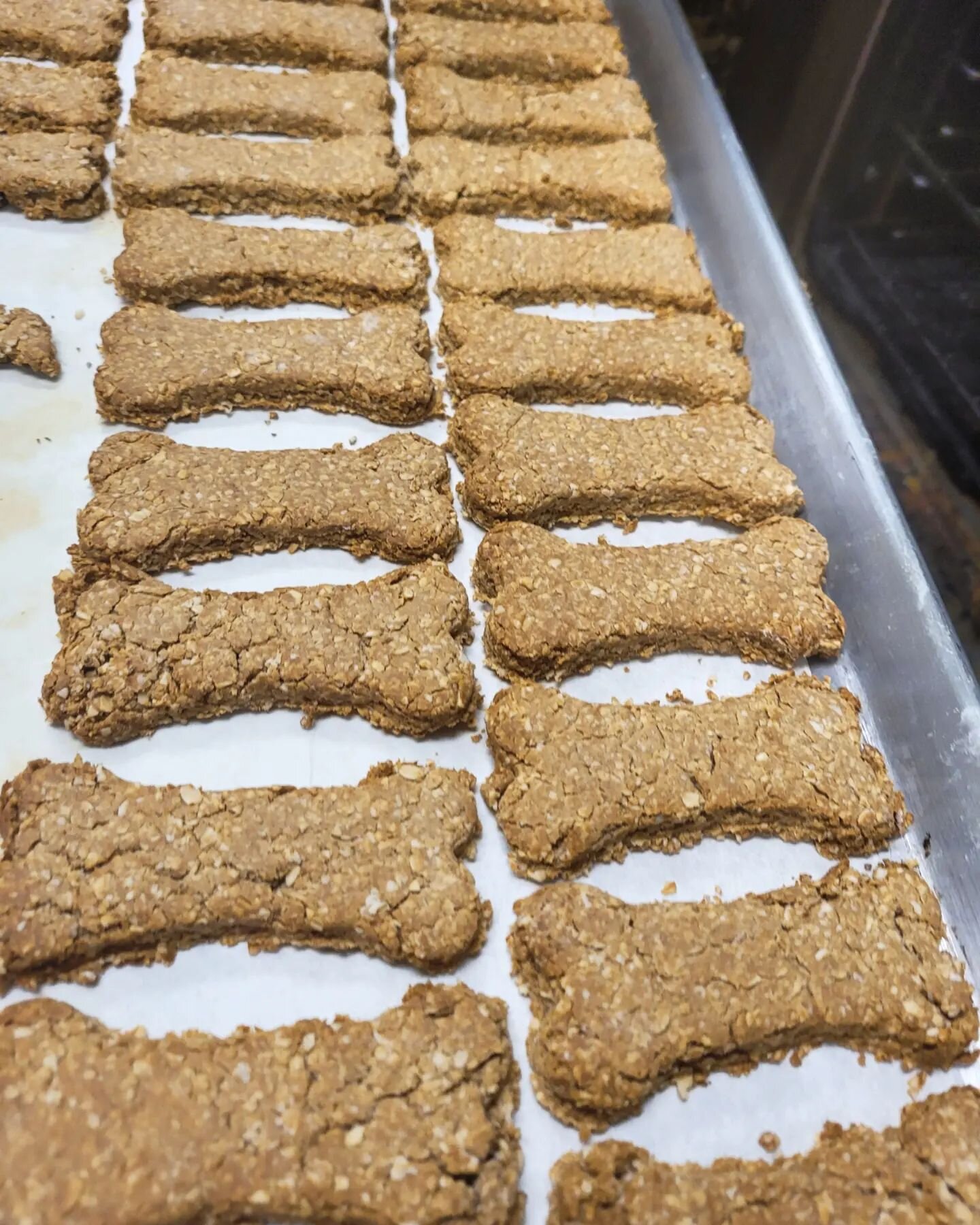 Dog days of summer! 🐶🌞did you know we bake our own homemade dog treats?! #punintended #dividogtreats #homemade #dogtreats #barkery #localcoffeeshop #coffee #pointpleasant #thewrat #shoresbest