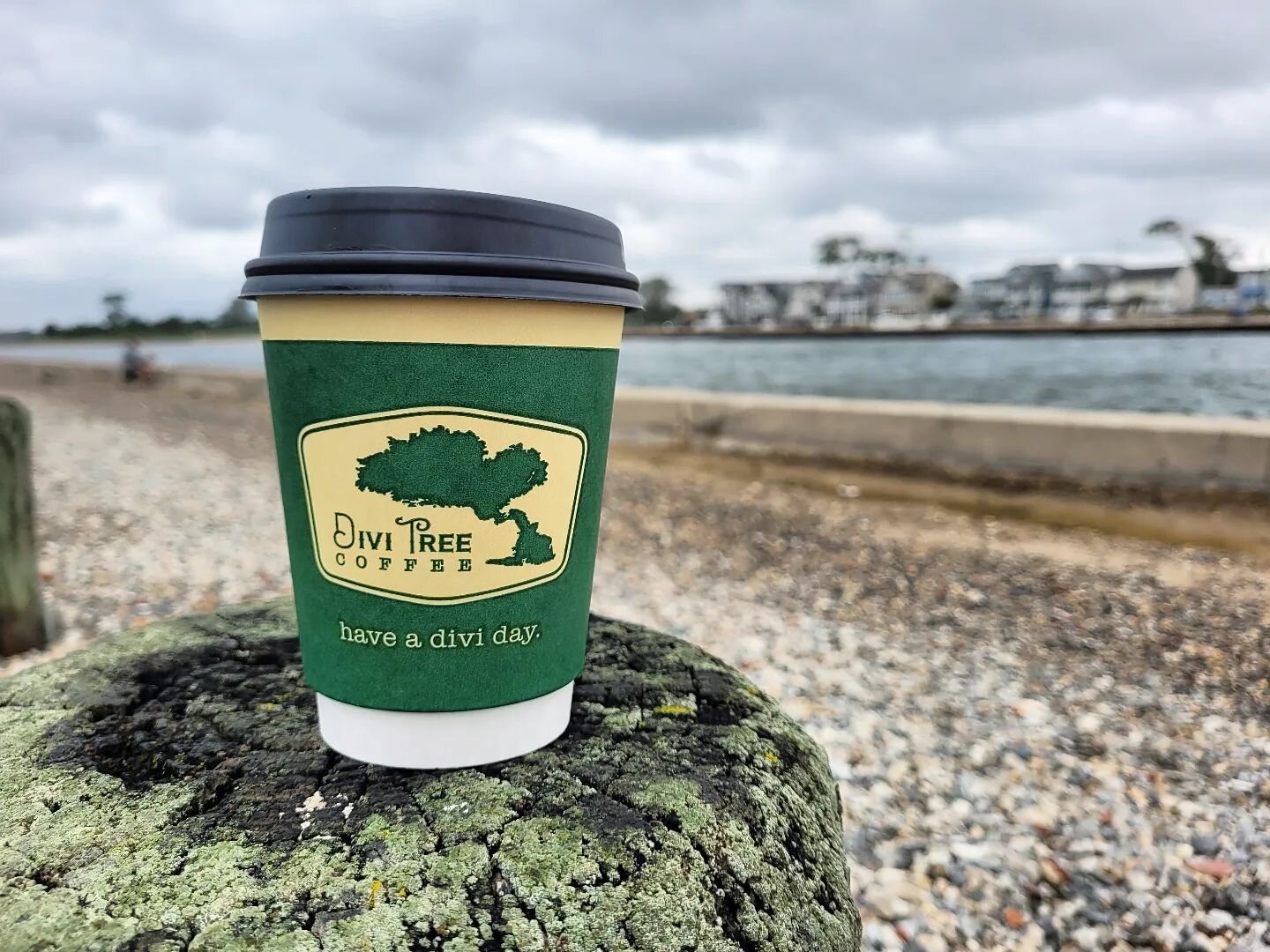 Bon dia! Make everyday a divi day. This pumpkin spiced chai paired well with this windy gloomy morning 🎃 #divitreecoffee #spicedchai #pumpkinspice #pumpkinseason #coffee #chai #latte #espresso #inlet #manasquaninlet #pointpleasant #startyourdayoffri