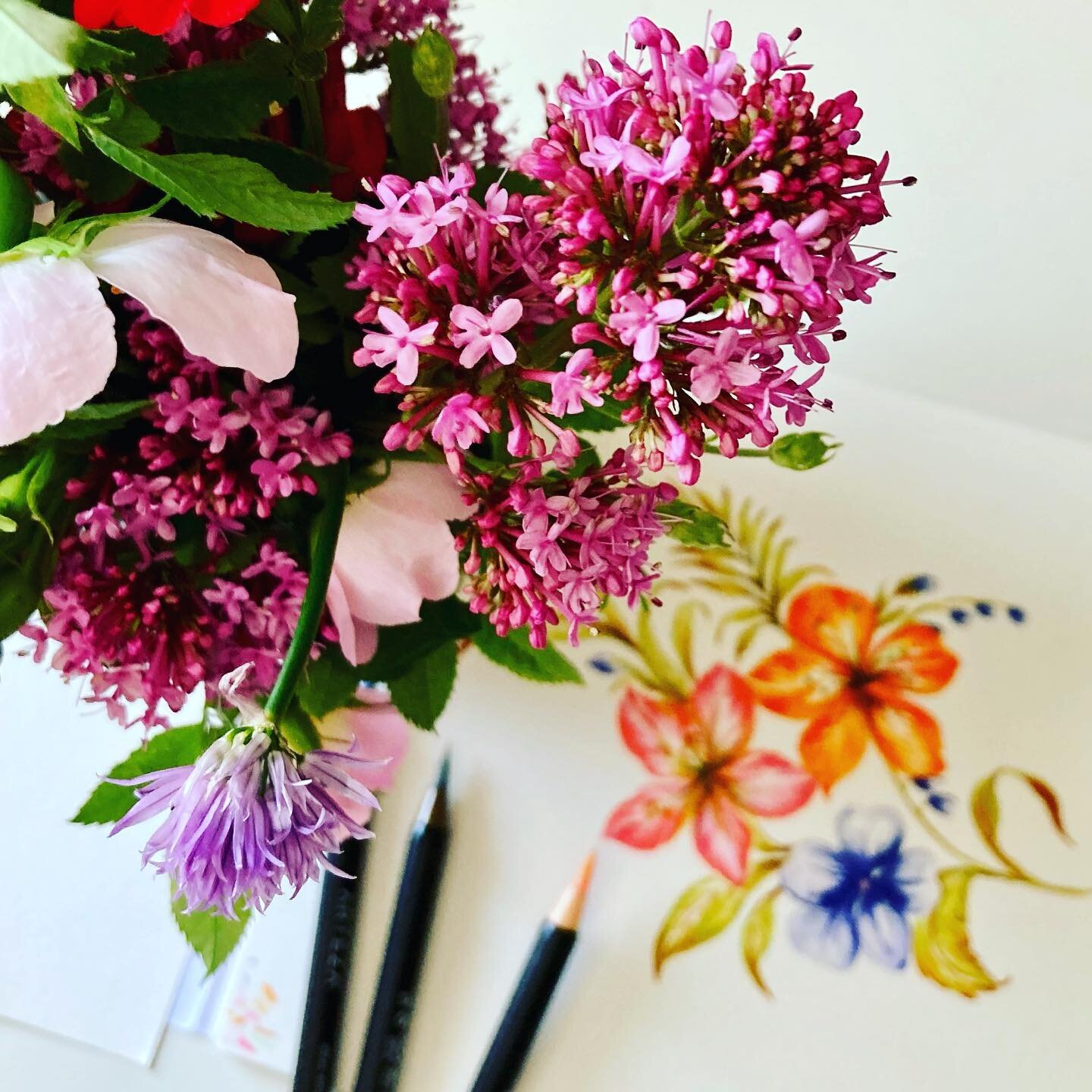 Freshly picked red valarian, chive flowers, sage, wallflowers &amp; dog rose are today&rsquo;s floral inspo in the studio

#wip #studio #floral #gardenflowers #textiledesign #textileartist #textilestudio #print #fashion #fashionprint #surfacepatternd