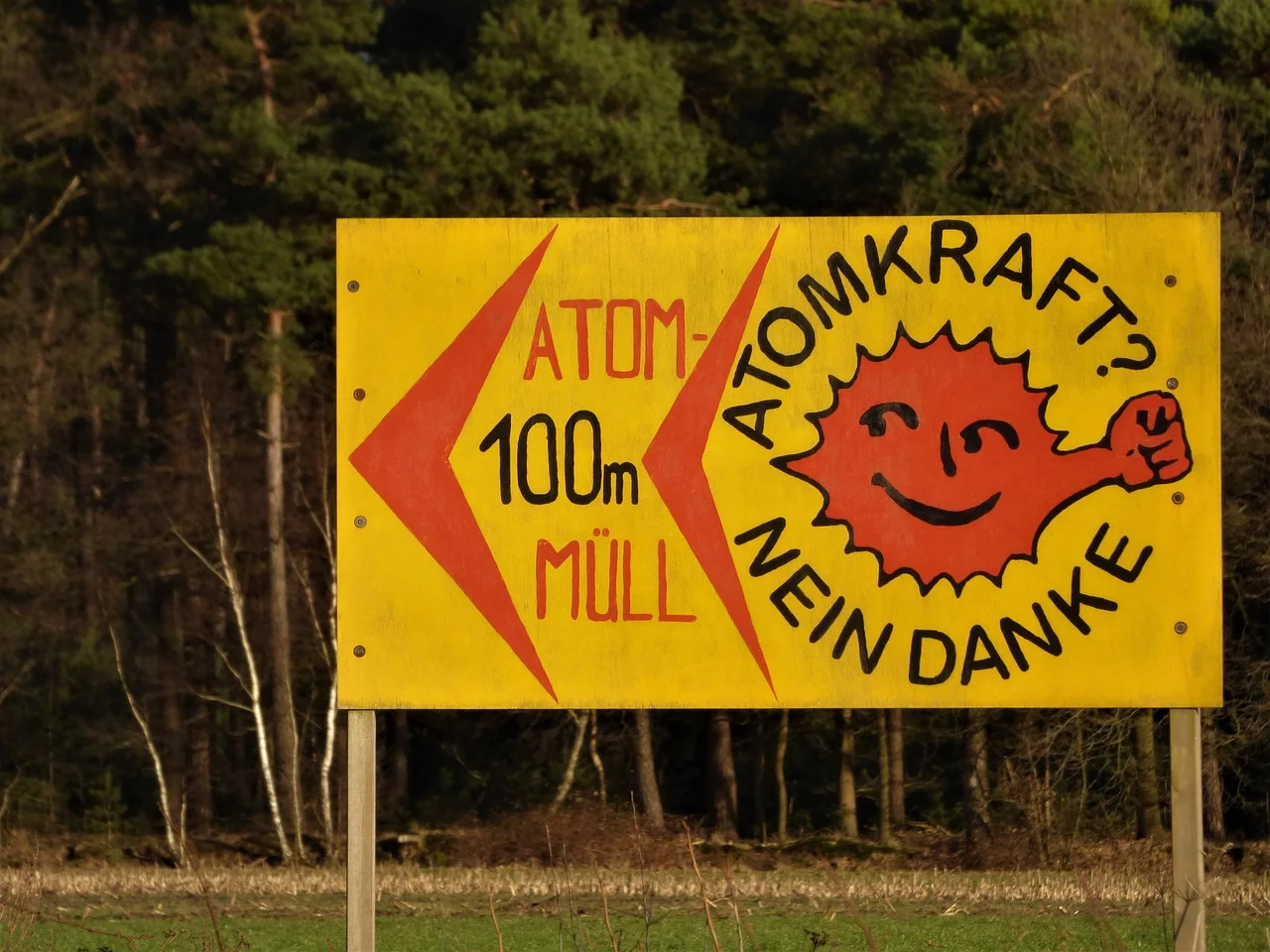 Acting Locally, Thinking Globally: What the Anti-Nuclear Movement Can Teach us about “New [Transnational] Modes of Observation of the World”