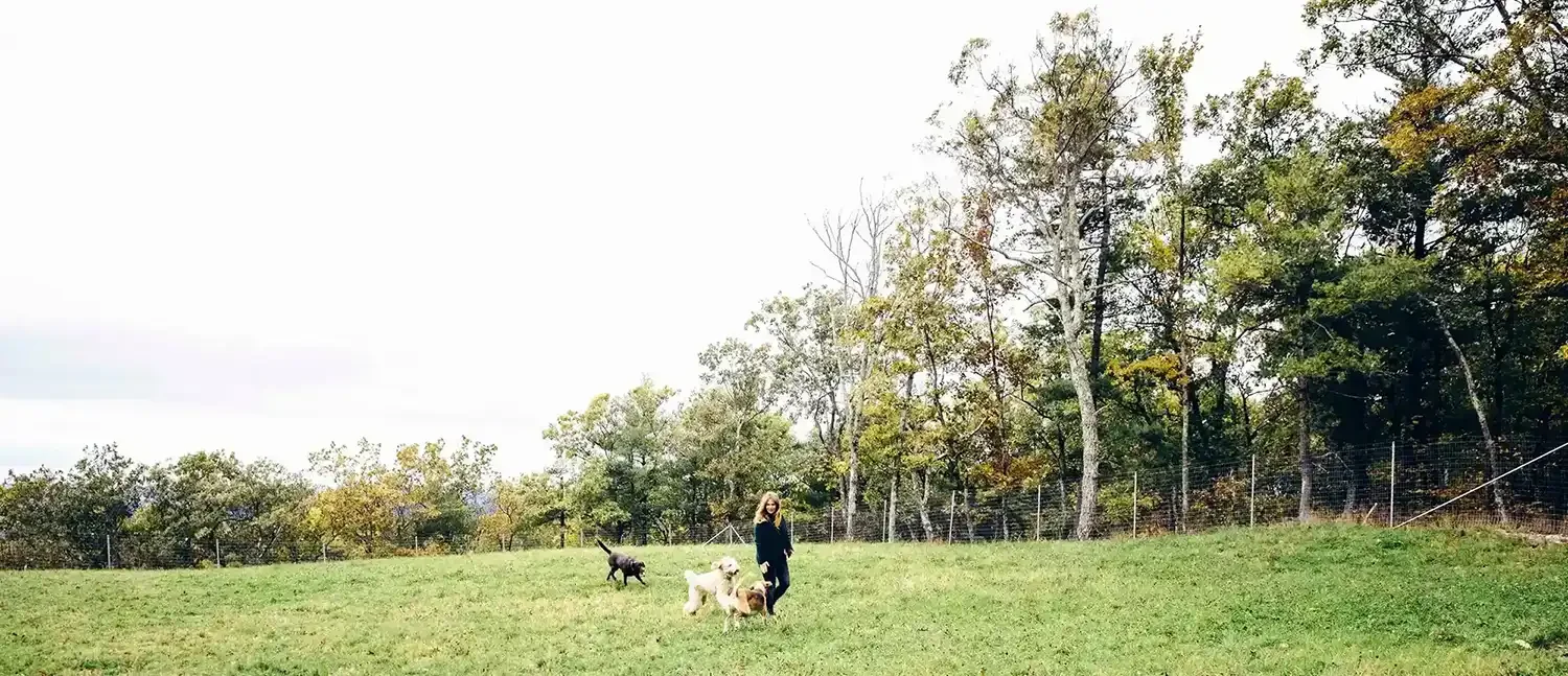 IMG_3268 copy 2.webp