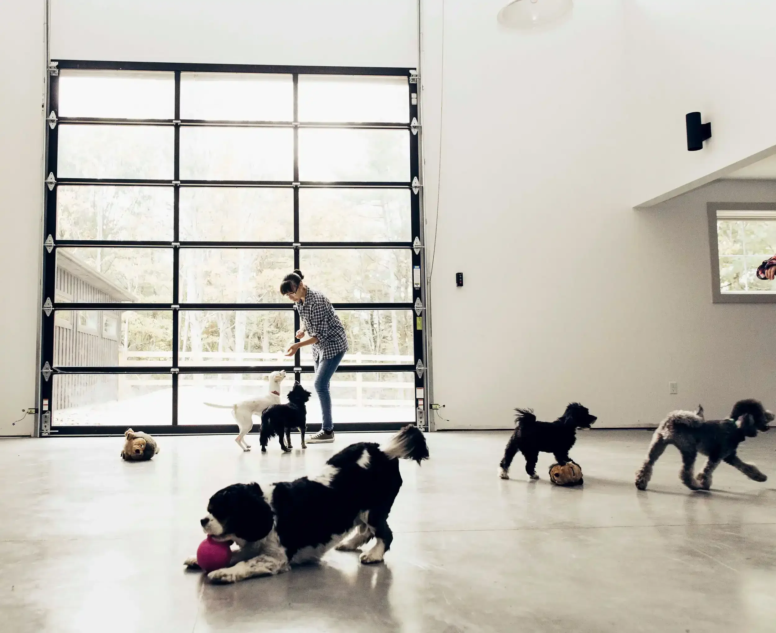 IMG_5702 copy 2.webp