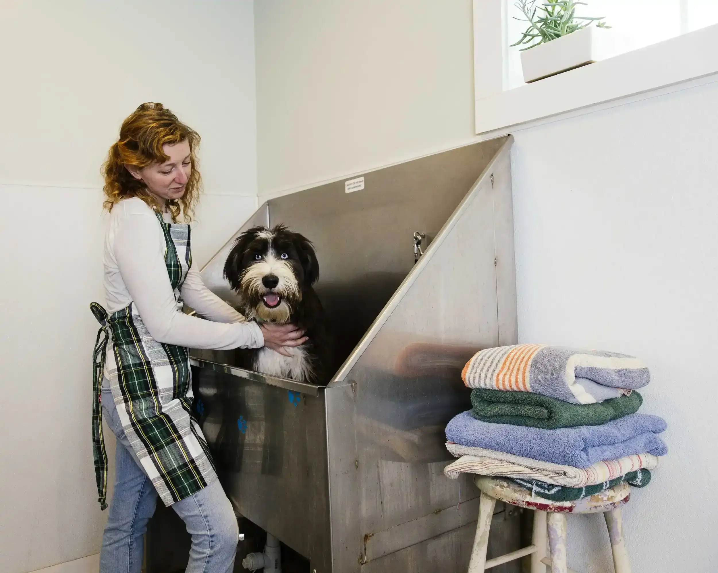 IMG_4507 copy 2.webp