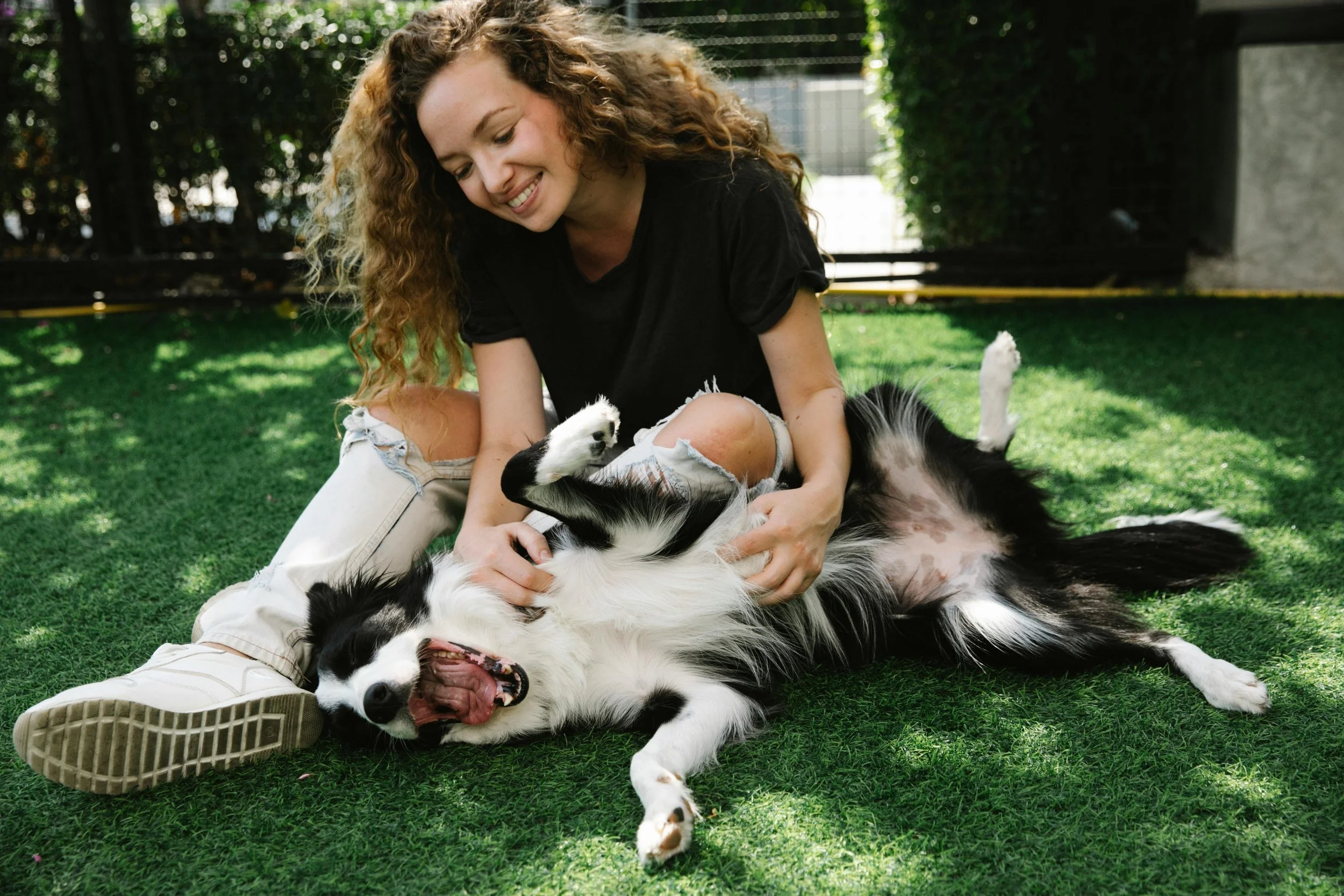 Happy woman playing with her Border Collie on a sunny day outdoors.