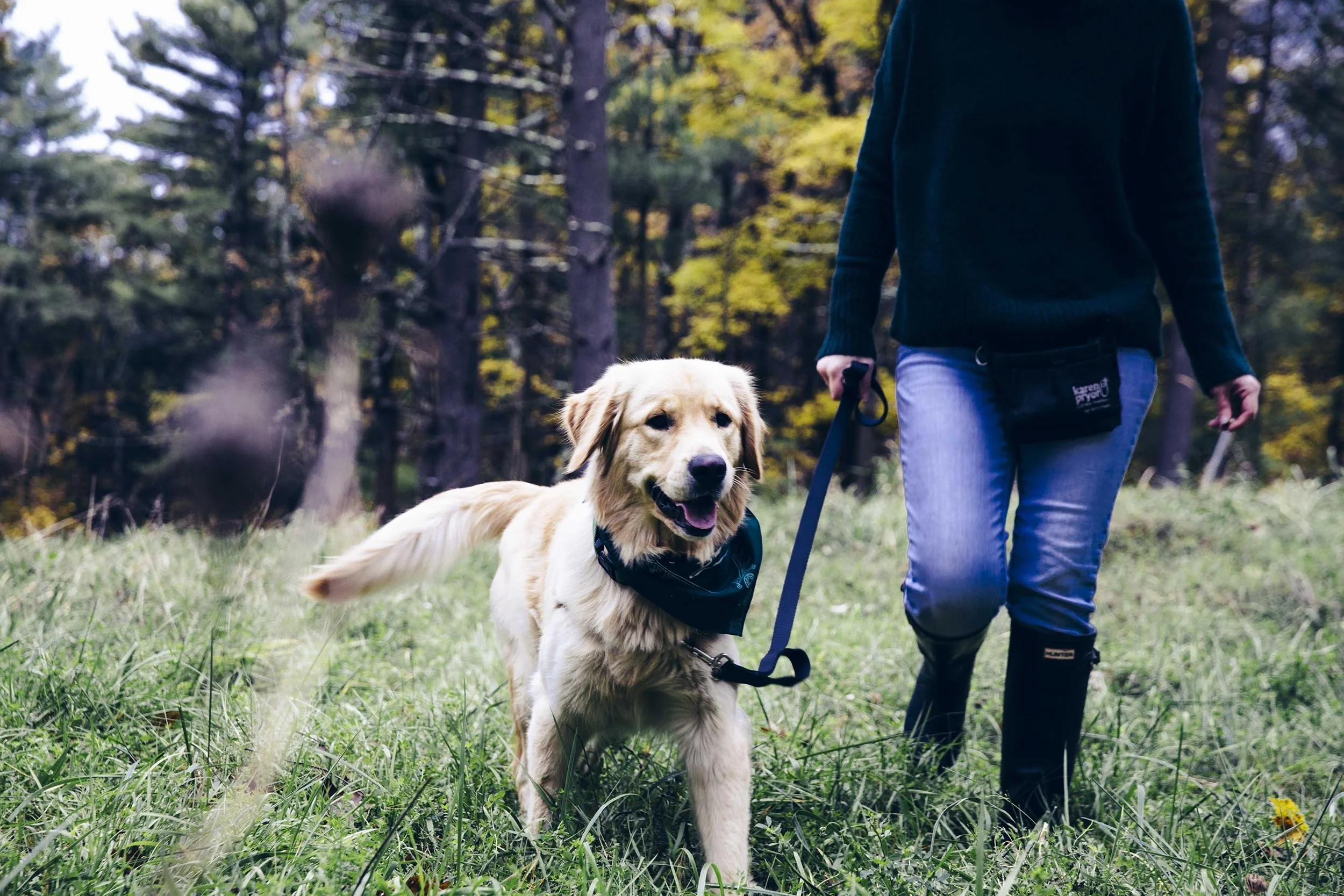 far-fetched-acres-dog-boarding-services-nyc-img.jpg