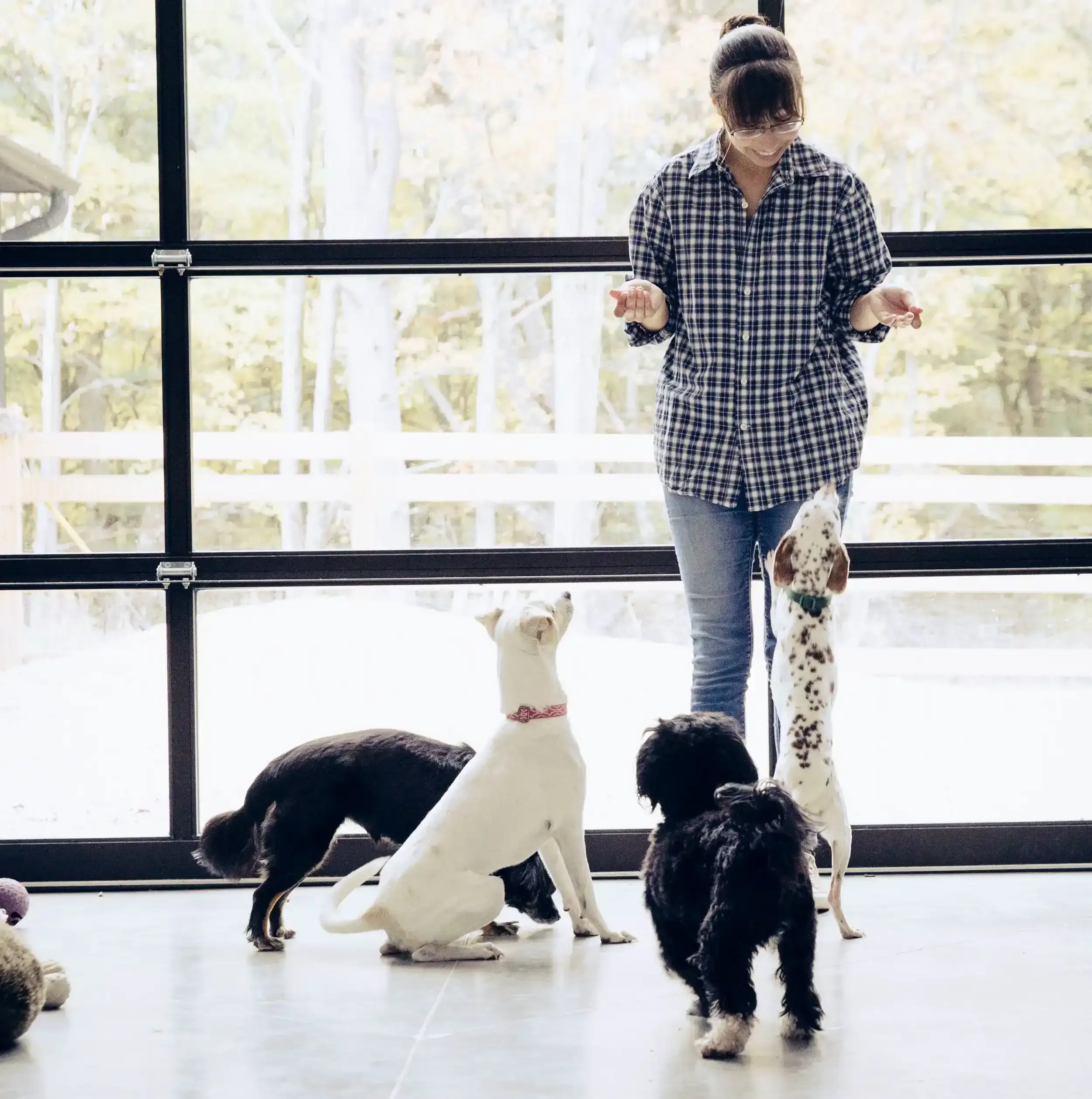 IMG_5732 copy 2.webp