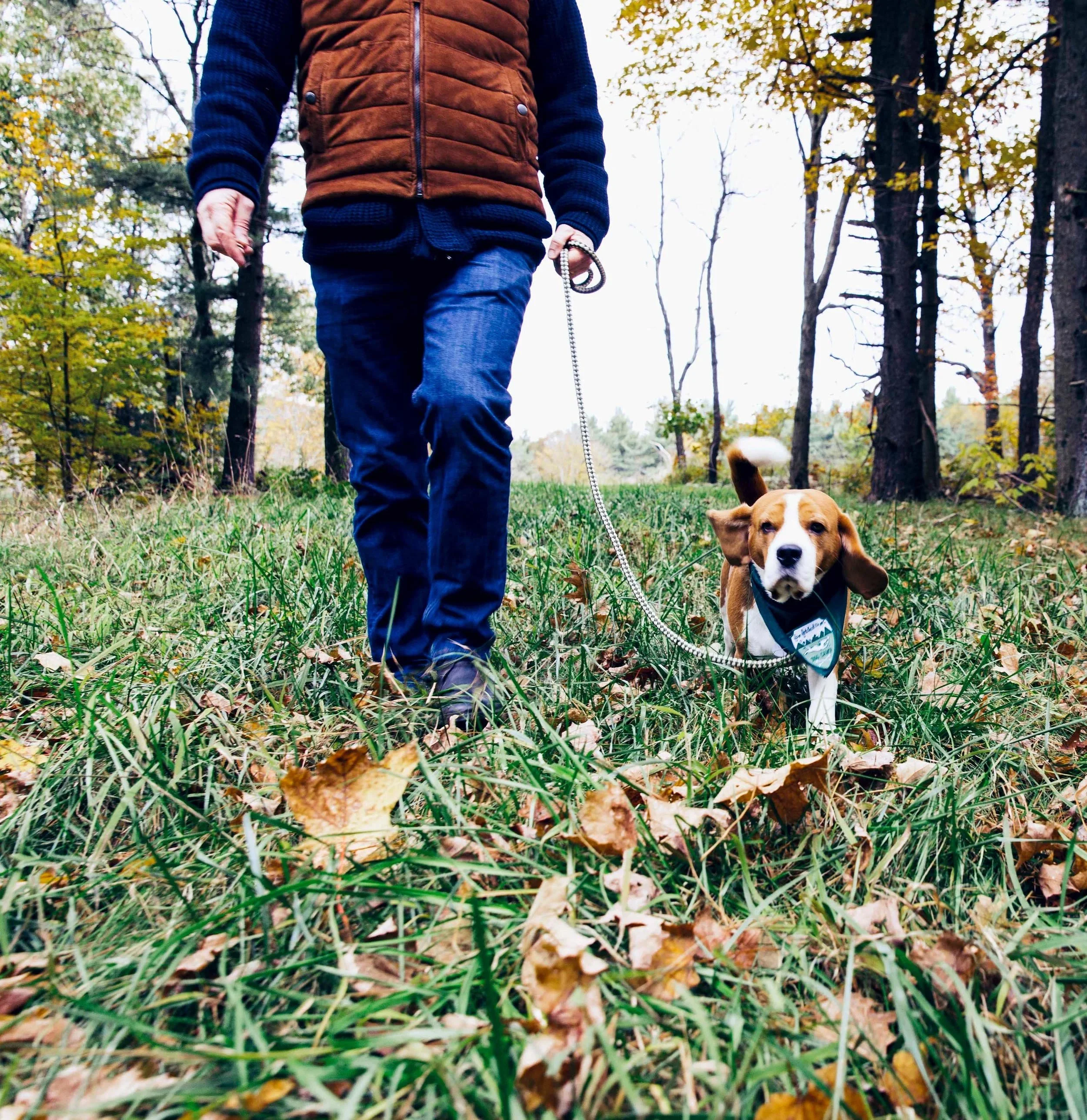 far-fetched-acres-dog-training-services-nyc-img15.jpg