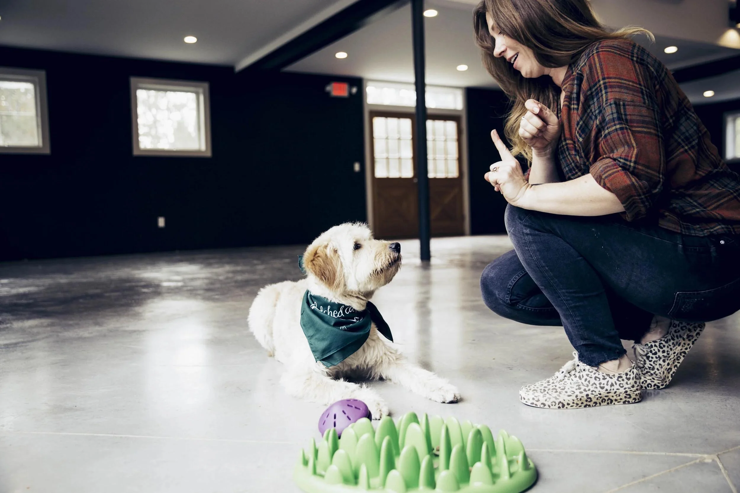 far-fetched-acres-dog-training-services-nyc-img17.jpg