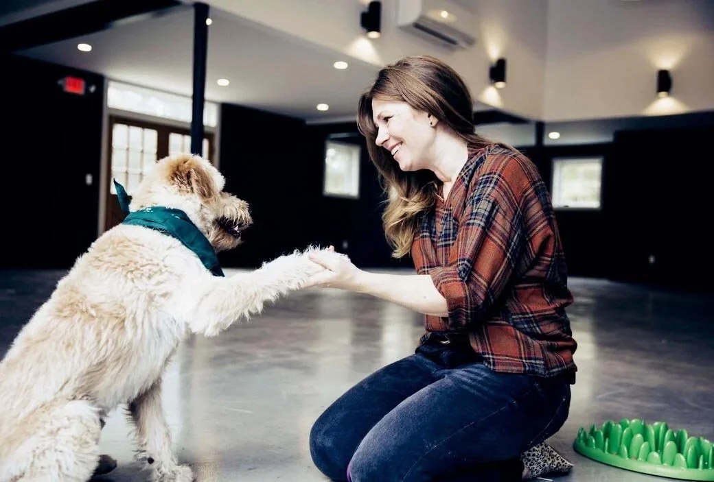 far-fetched-acres-dog-training-services-nyc-img16.jpg