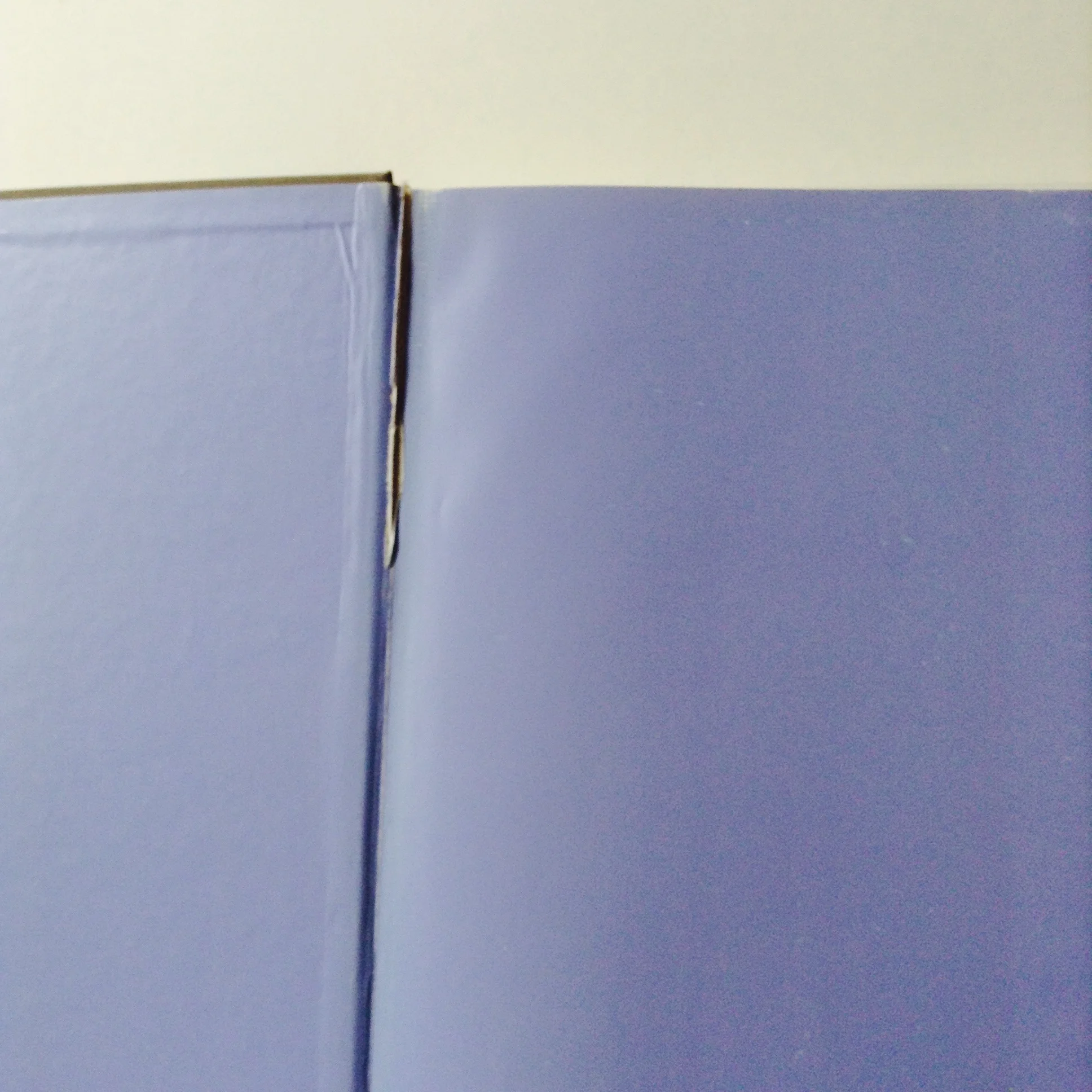 FullSizeRender 5.jpg