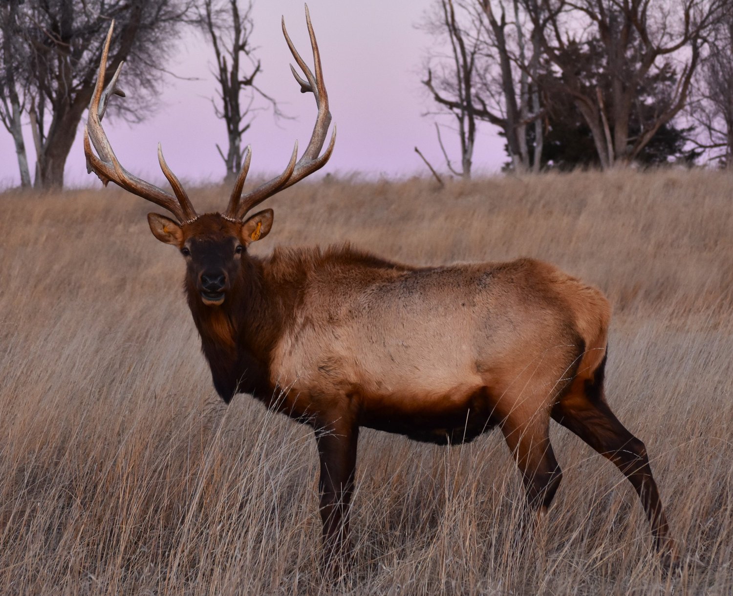 Heartland Elk Guest Ranch Niobrara River Outfitters, Cabin Rentals