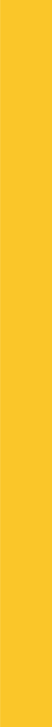 dark yellow line.png
