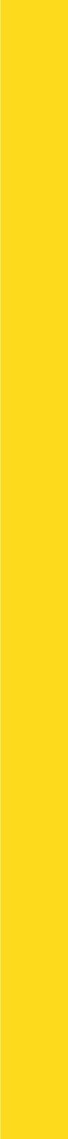 yellow line.png
