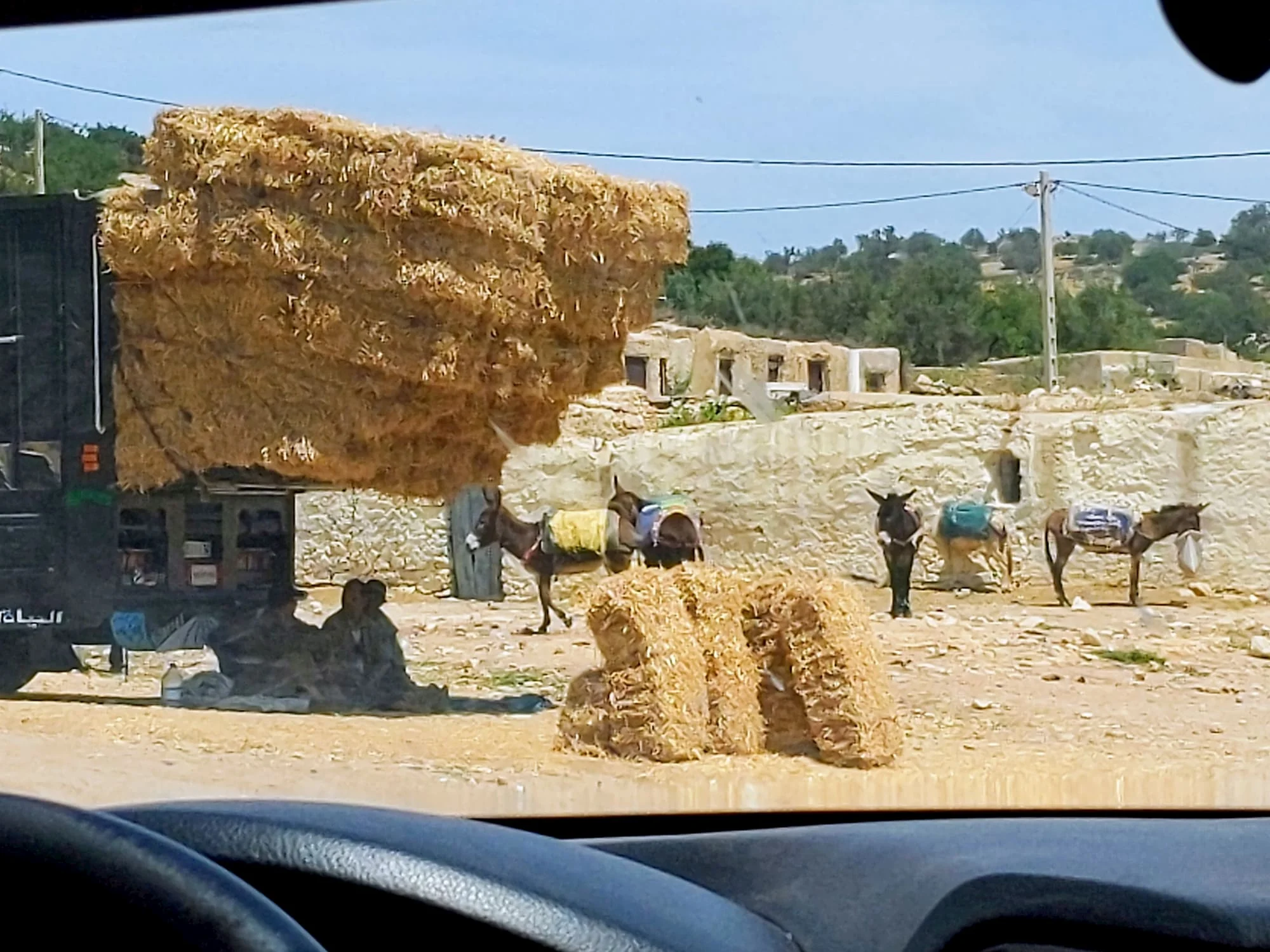 hayinmorroco.jpg
