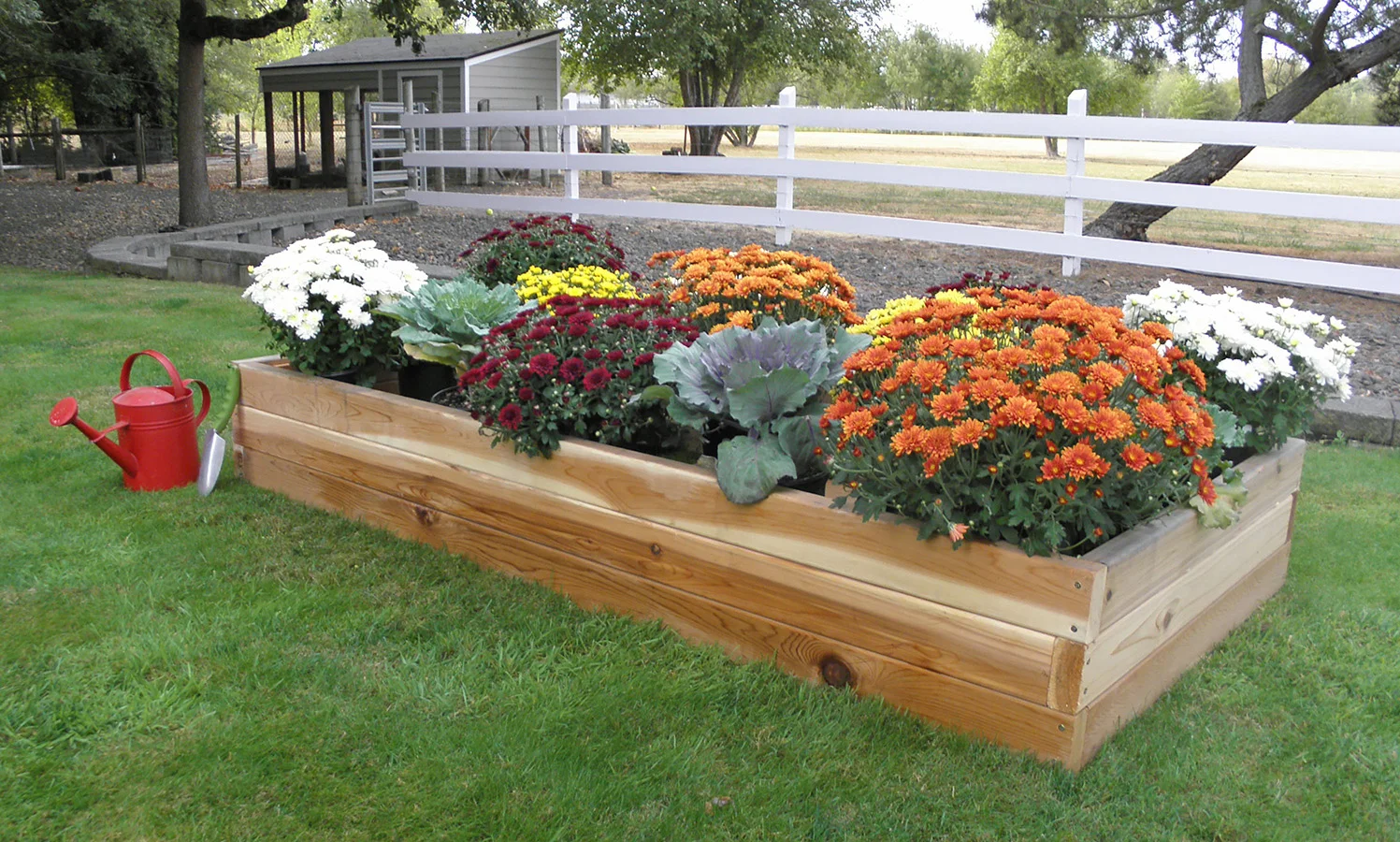 raised bed 3’x'6’
