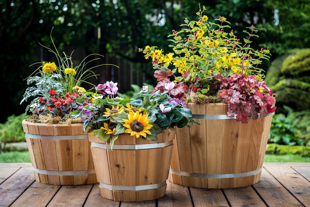 Planters Gallery Real Wood Products Planters Gallery Real Wood Products