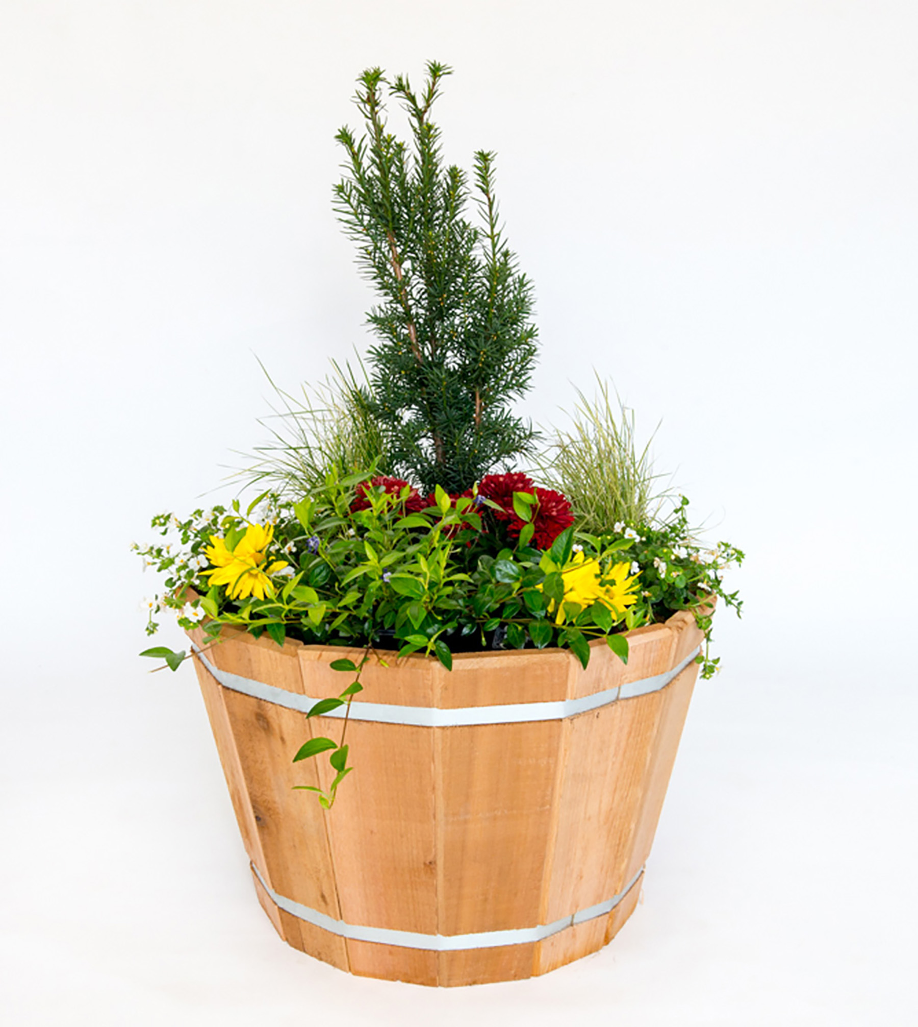  large cedar tub  dimensions: 22”x16” 